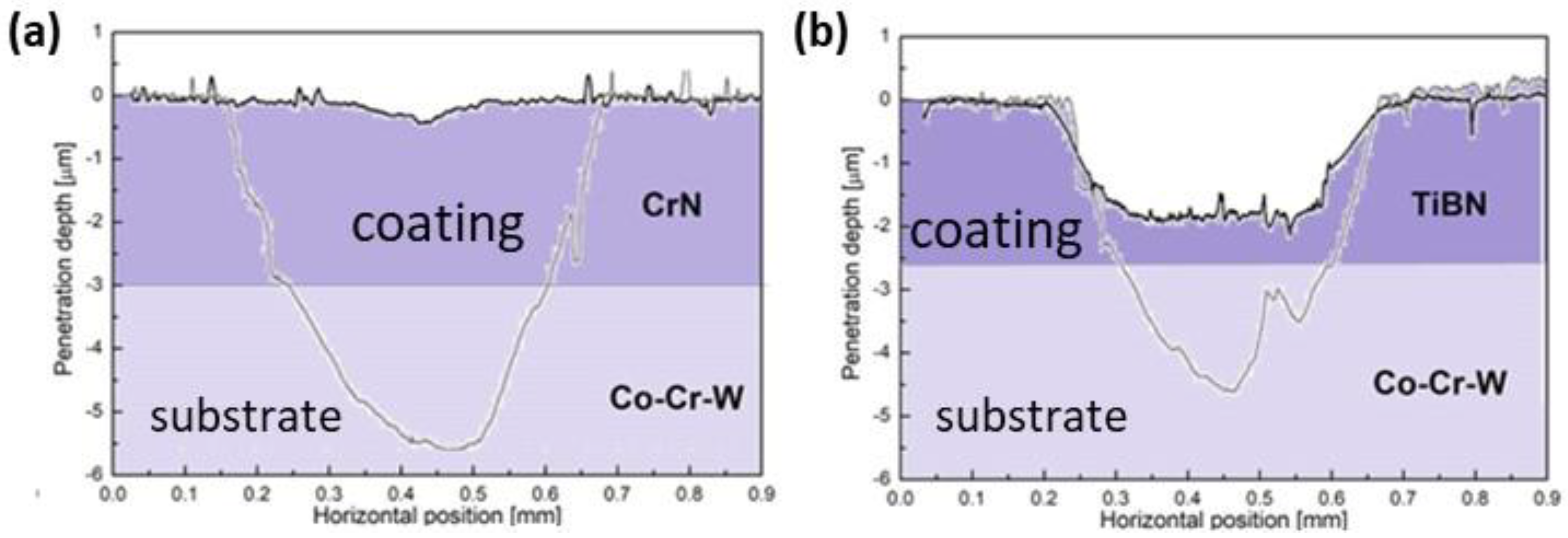 Coatings 14 01278 g013