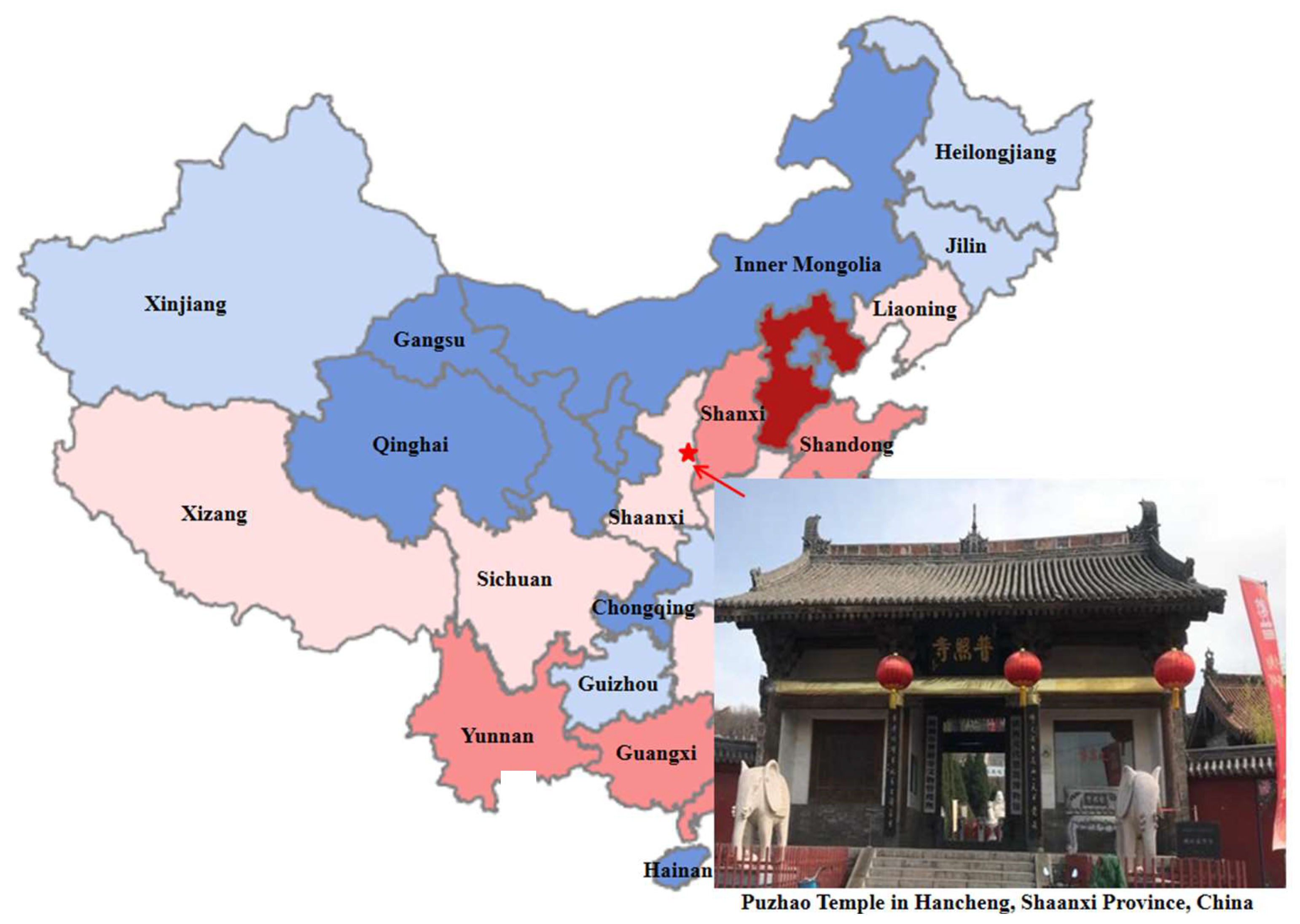 Coatings 14 01287 g001