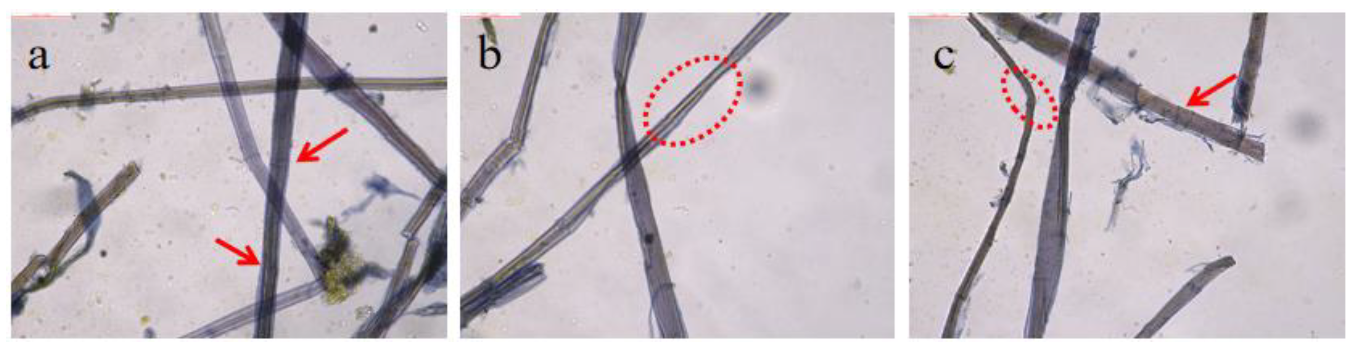 Coatings 14 01287 g005