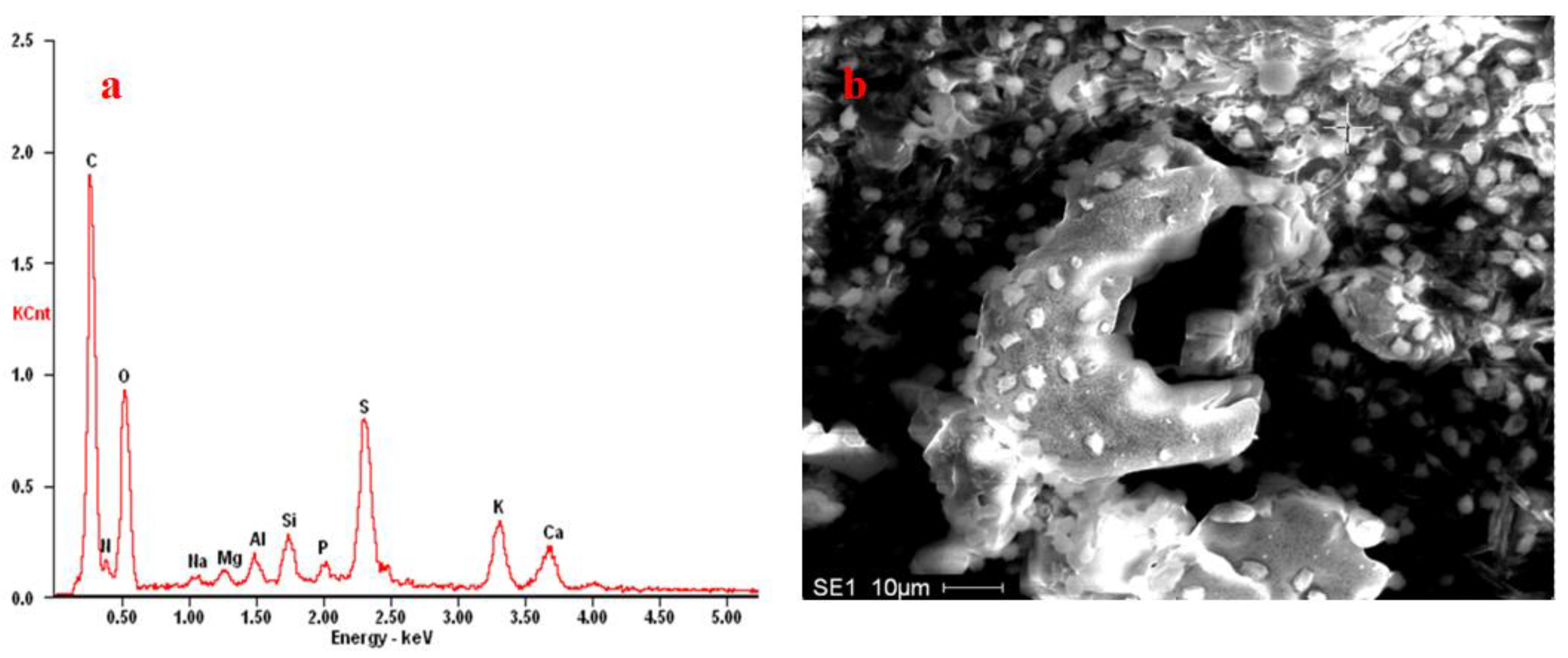 Coatings 14 01287 g008