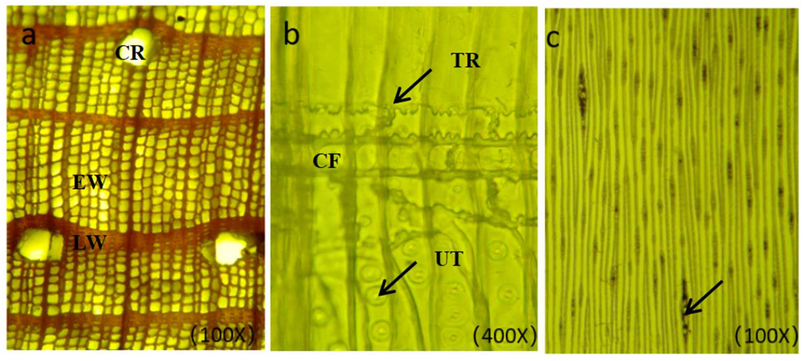 Coatings 14 01287 g010
