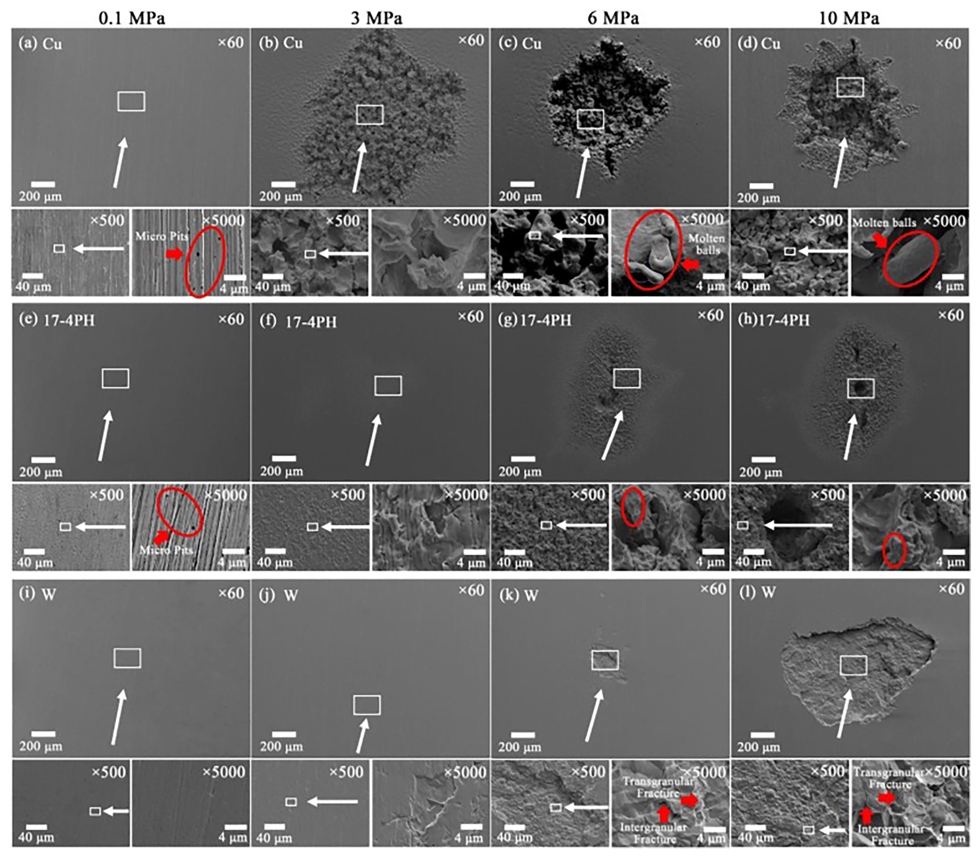 Coatings 14 01288 g002