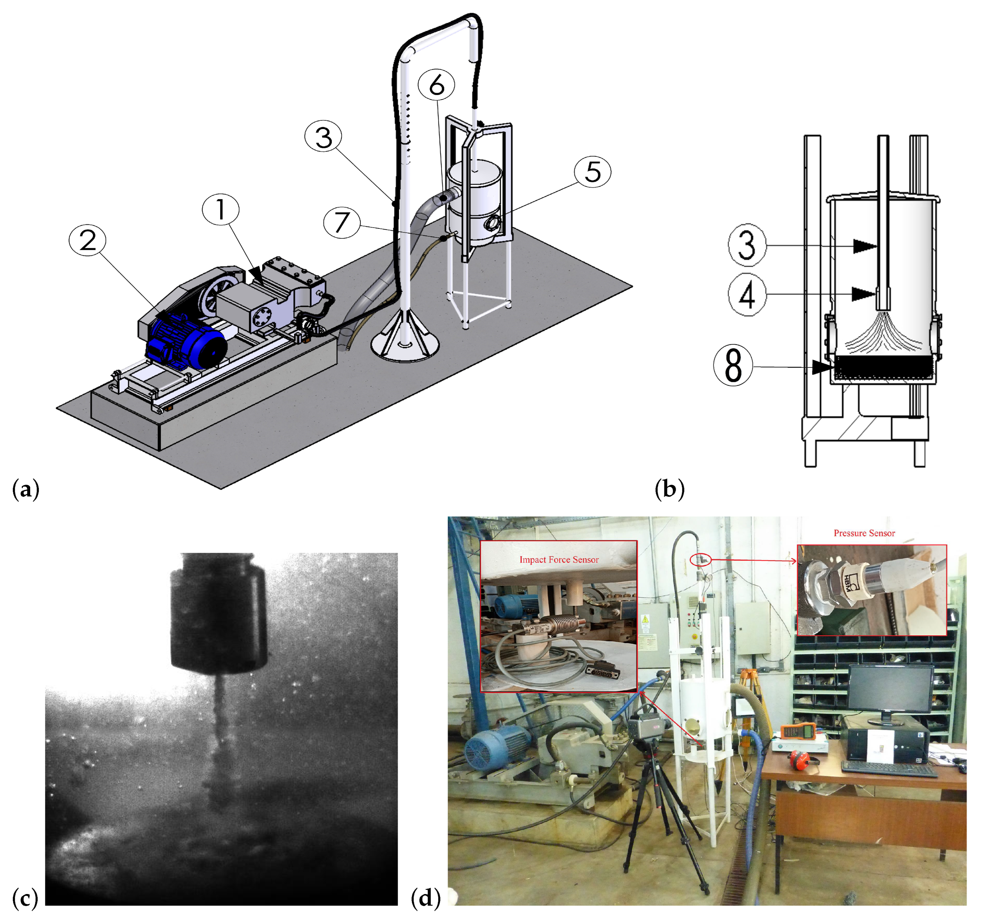 Coatings 14 01288 g004