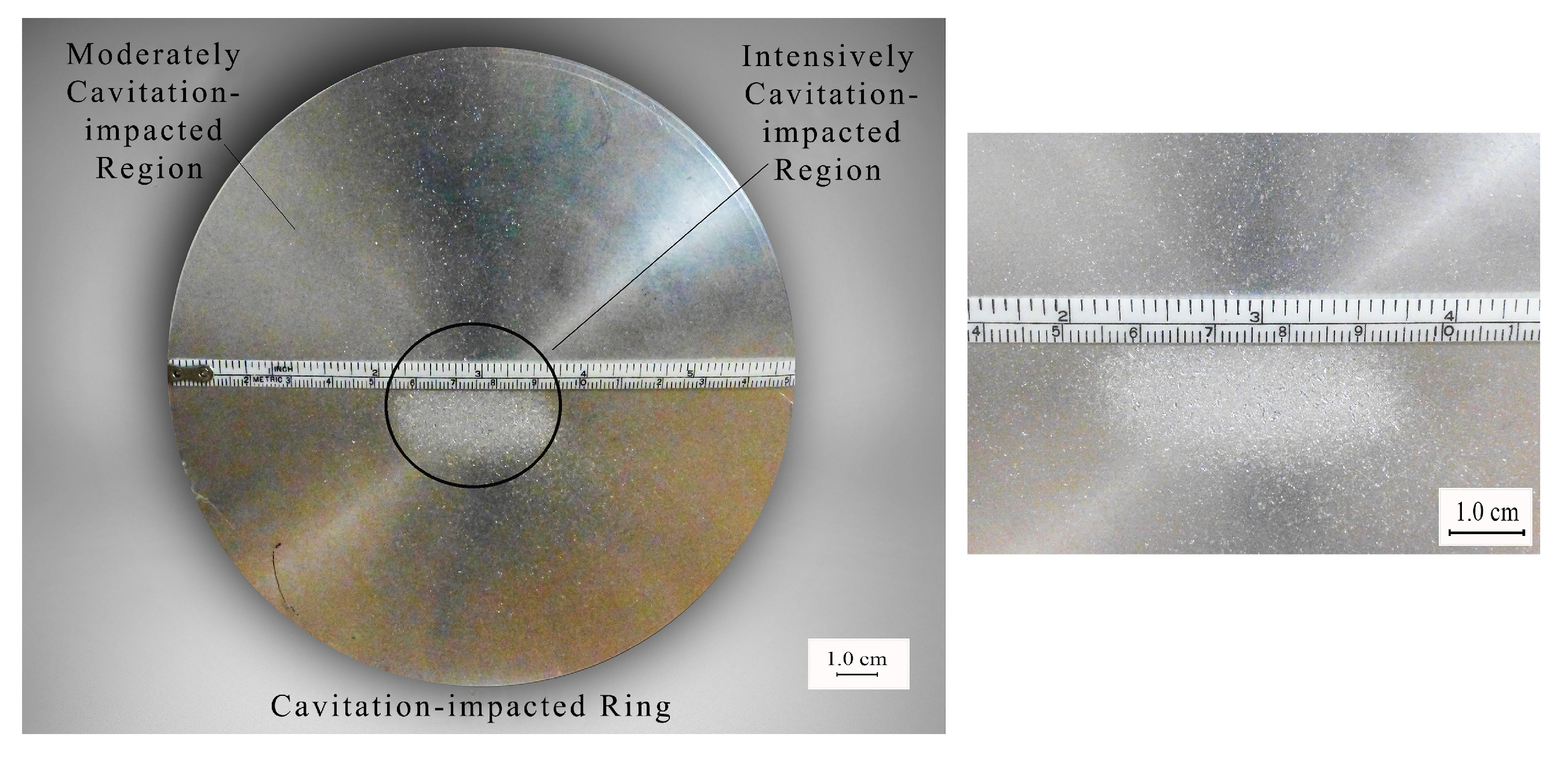 Coatings 14 01288 g008