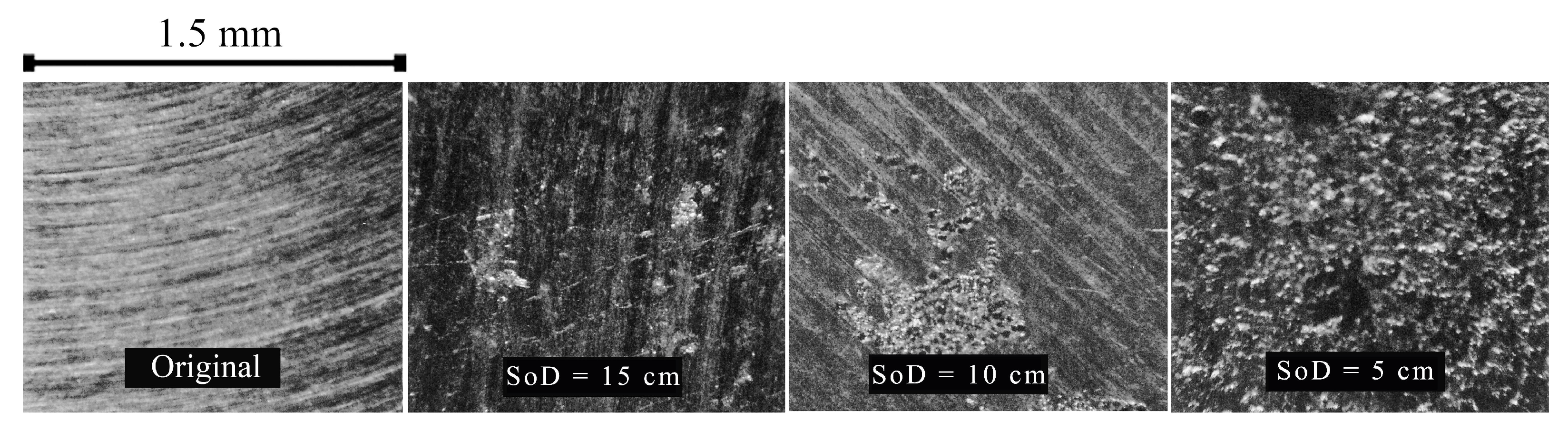 Coatings 14 01288 g013
