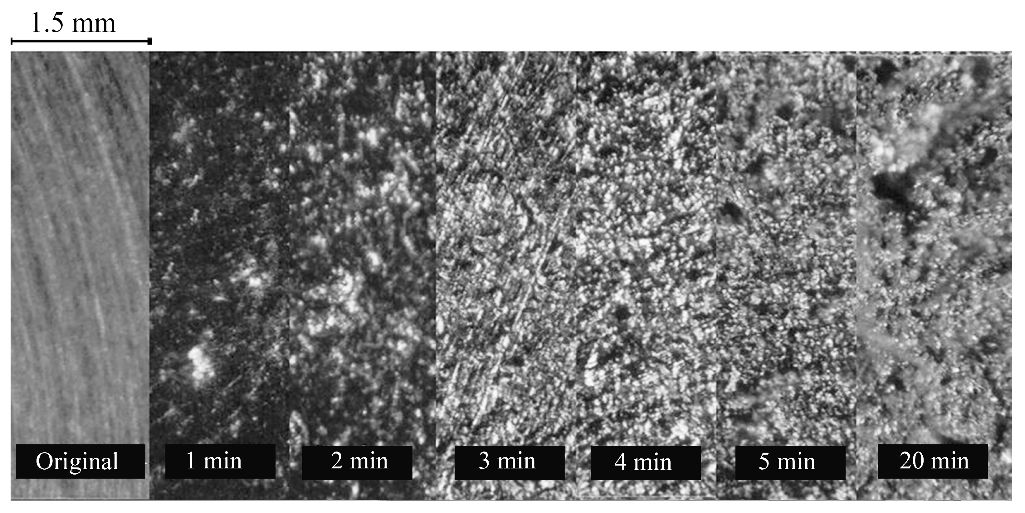 Coatings 14 01288 g014