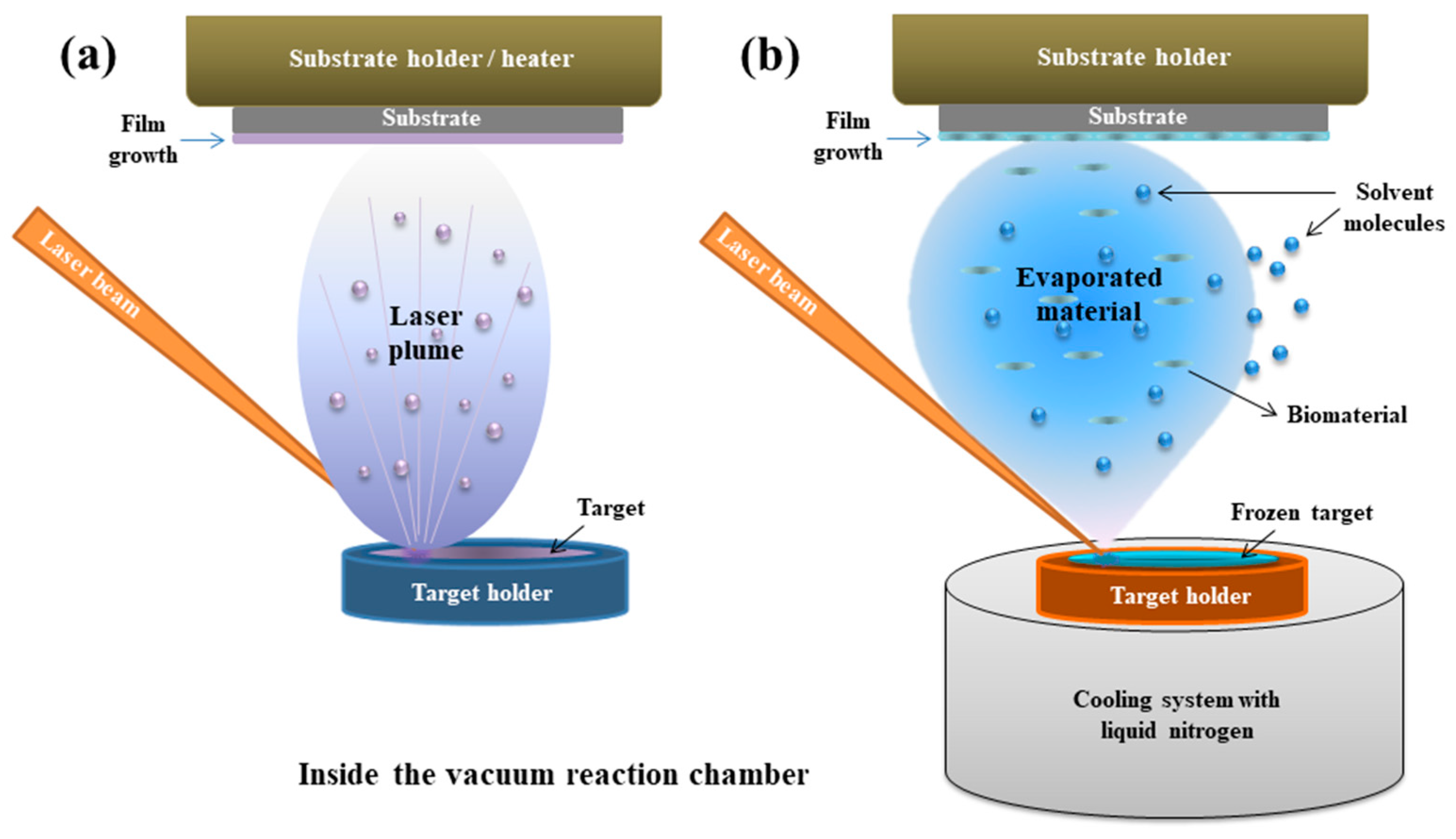 Coatings 14 01290 g003