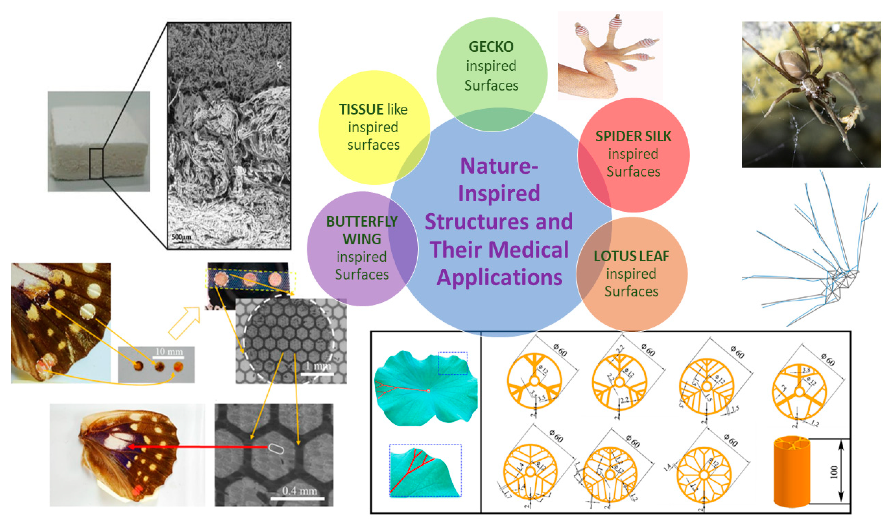 Coatings 14 01290 g005