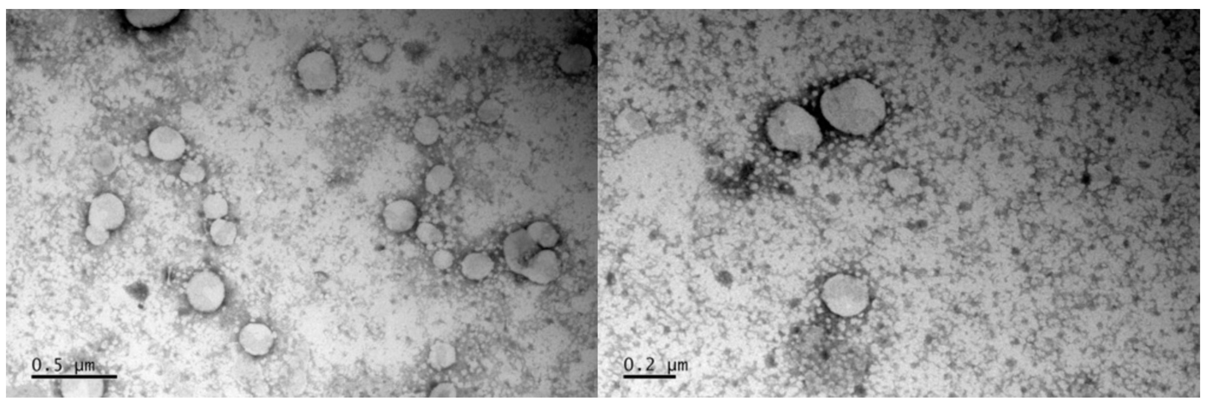 Coatings 14 01295 g002 Coatings 14 01295 g002