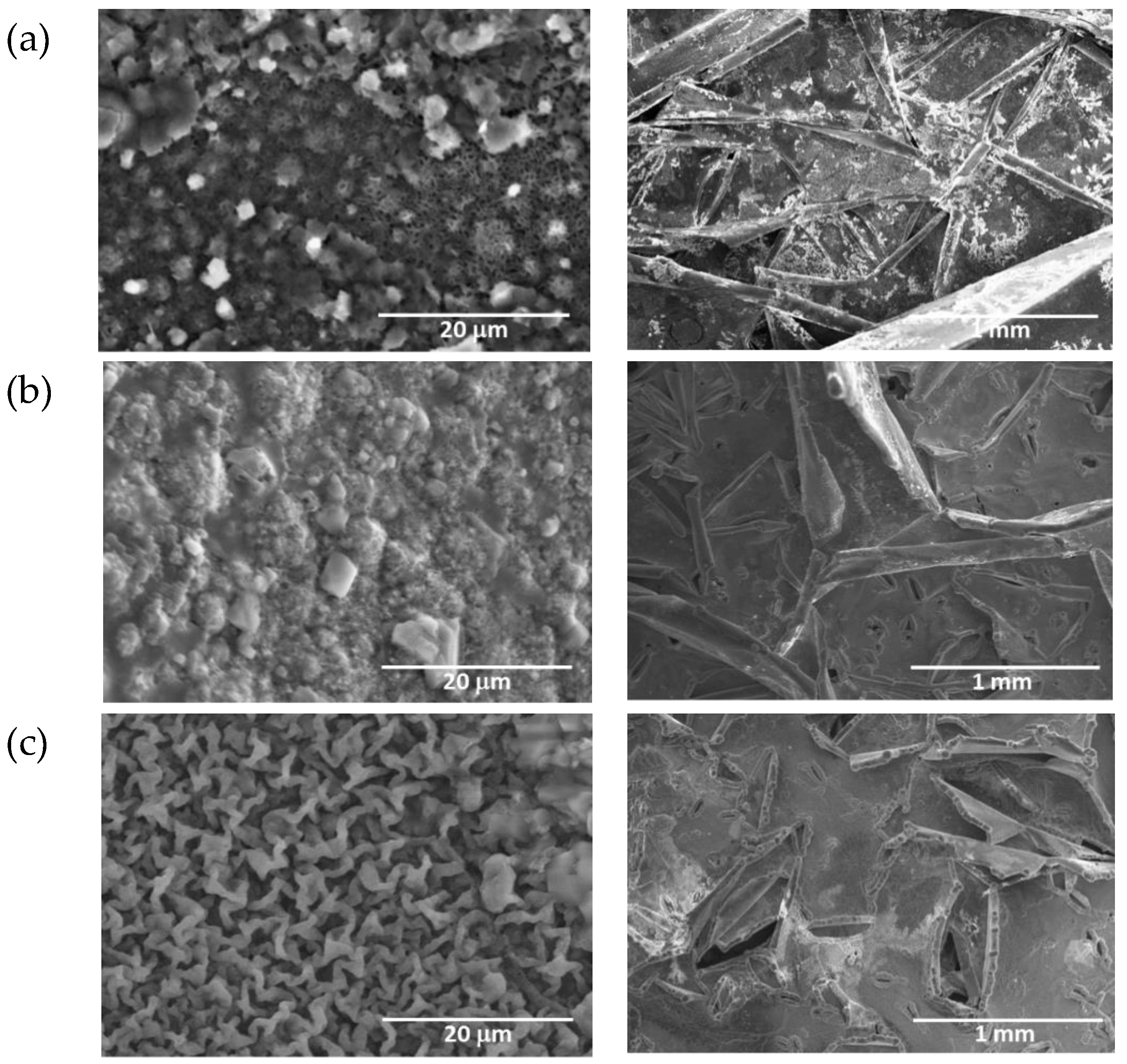 Coatings 14 01301 g014 Coatings 14 01301 g014