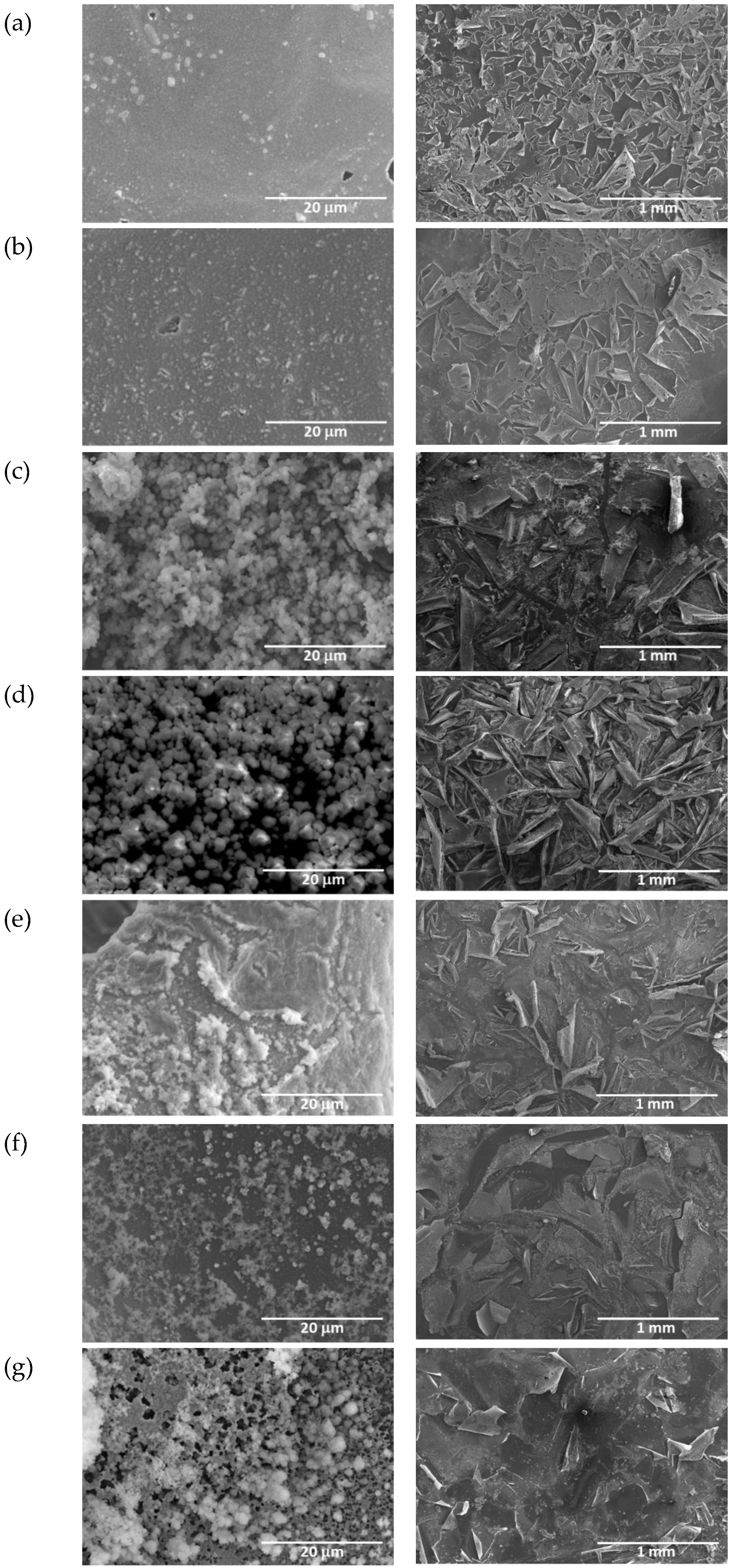 Coatings 14 01301 g015 Coatings 14 01301 g015