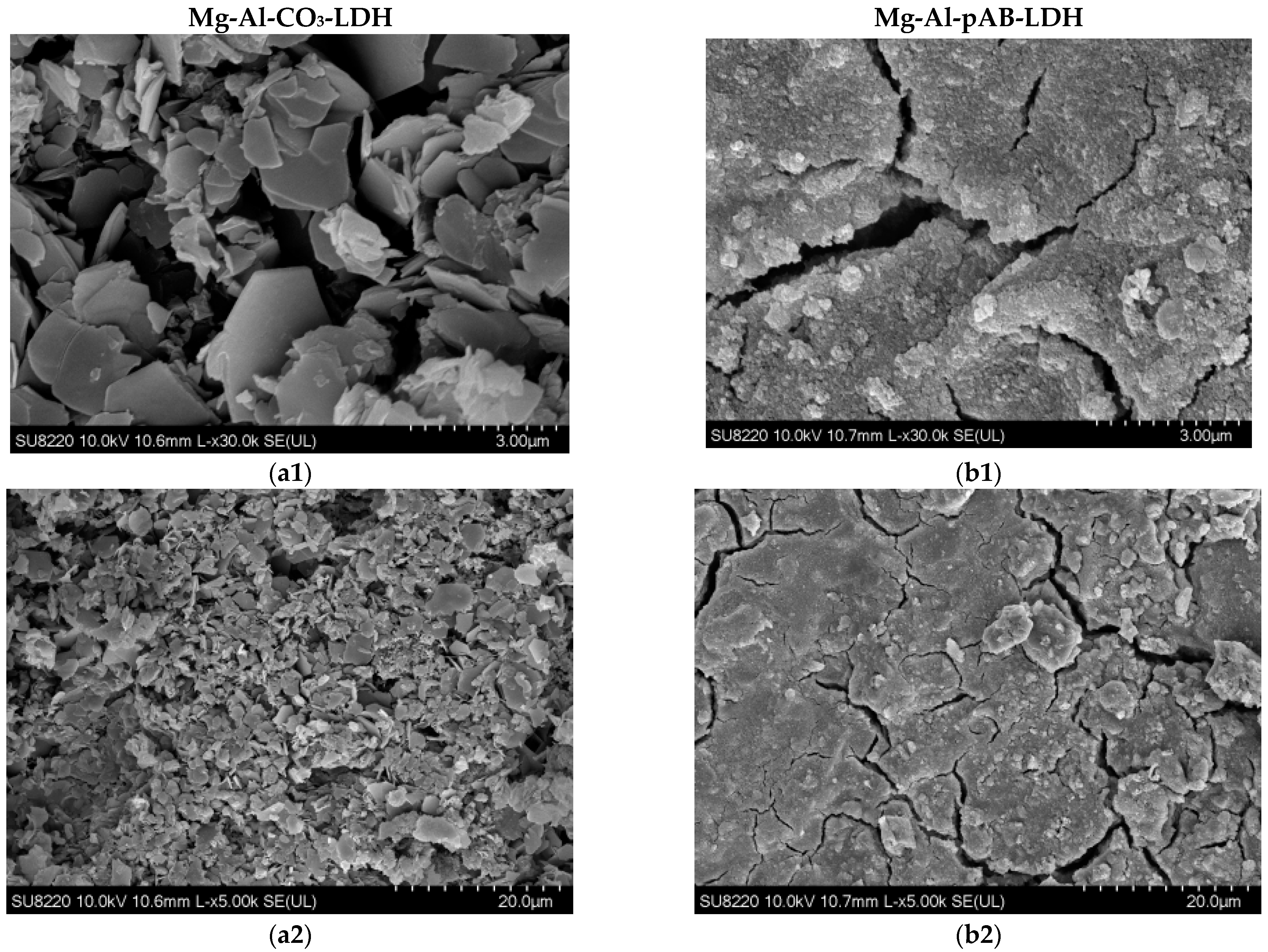 Coatings 14 01307 g002a