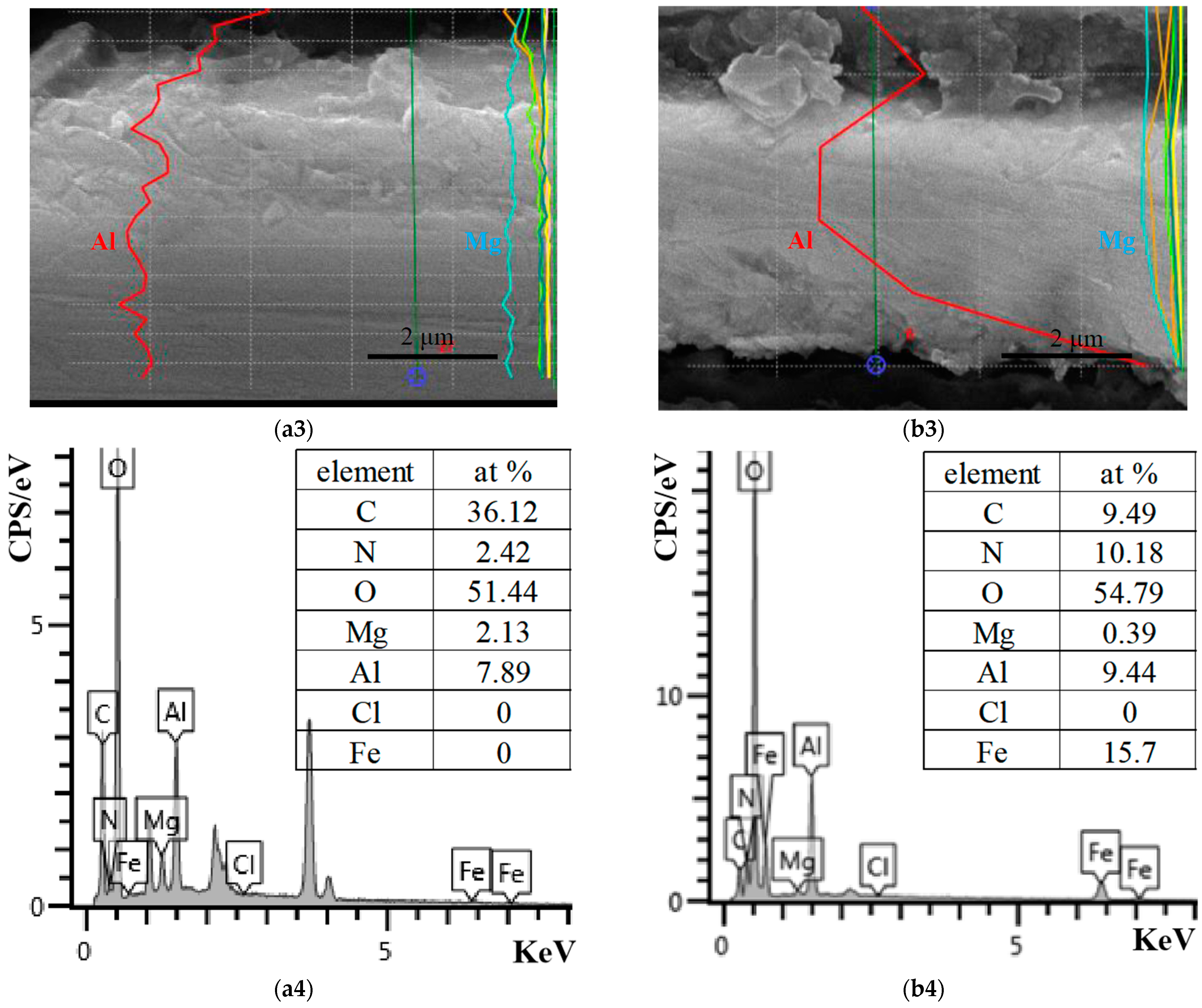 Coatings 14 01307 g002b