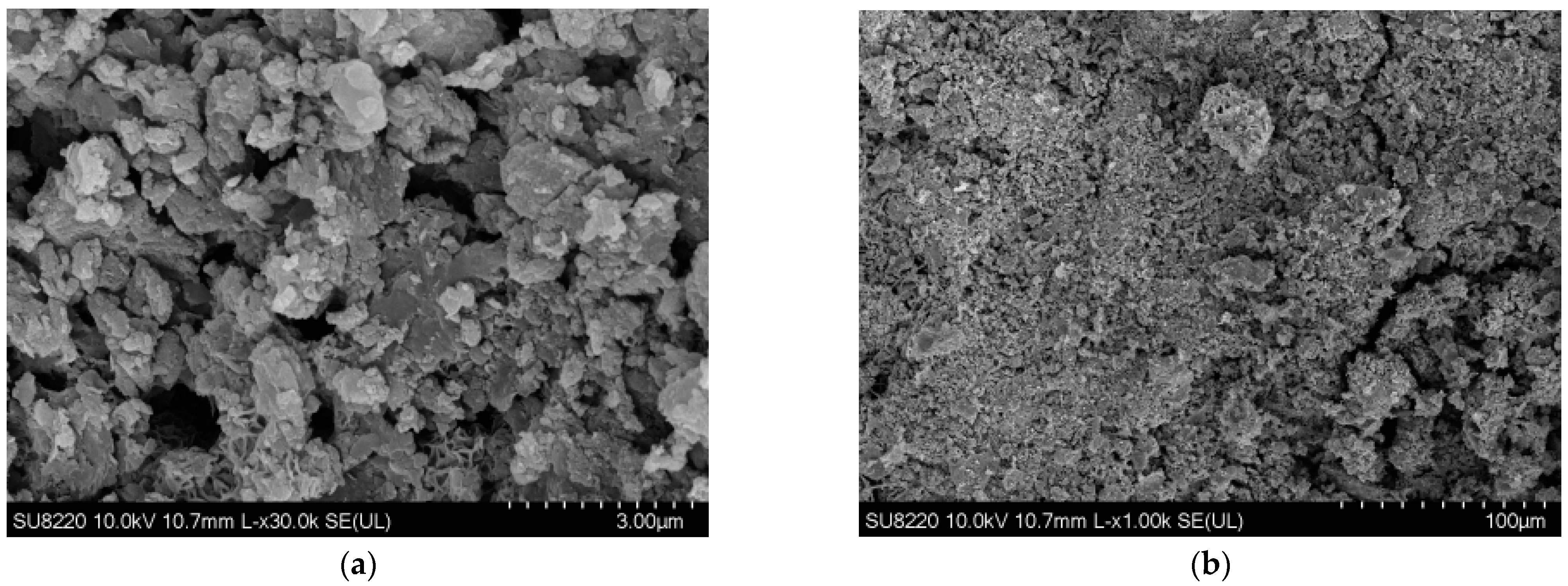 Coatings 14 01307 g006a