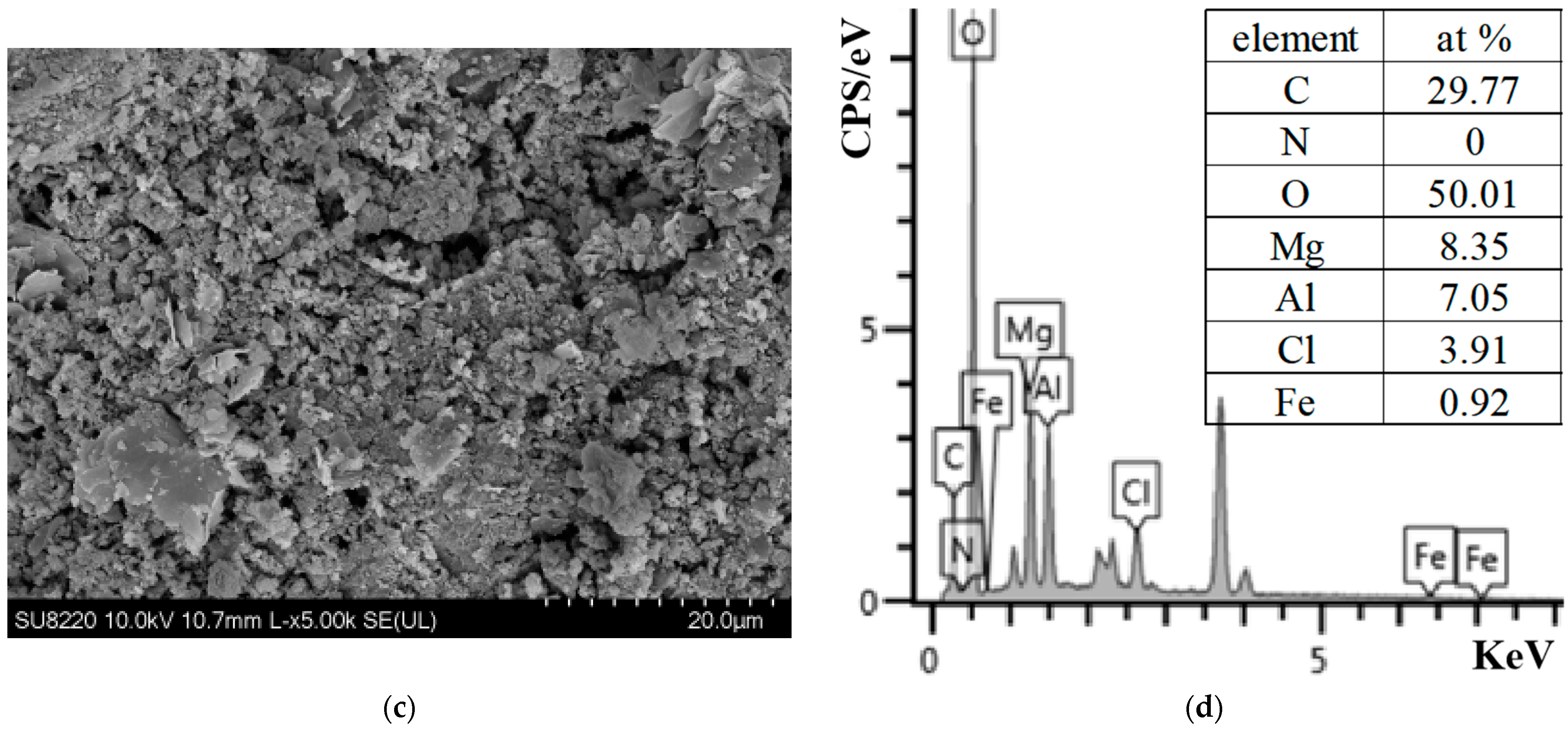 Coatings 14 01307 g006b