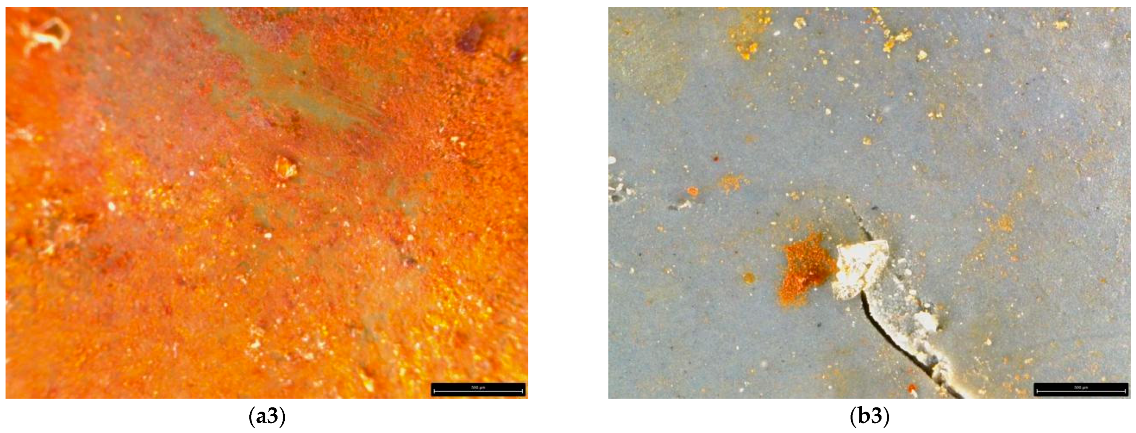 Coatings 14 01307 g011b