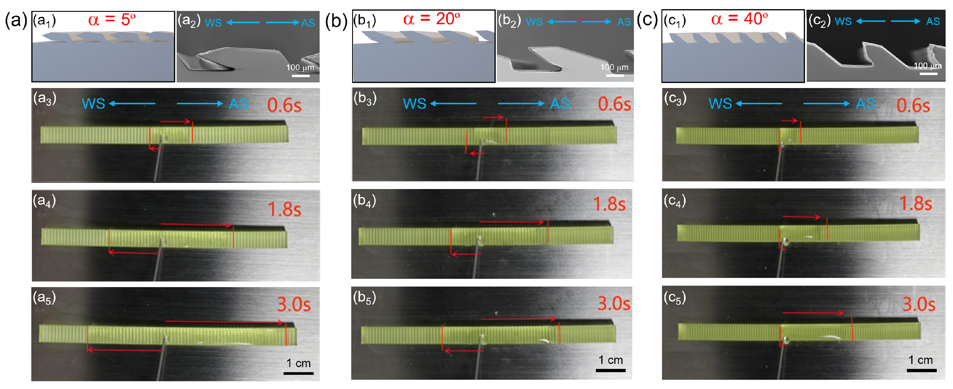 Coatings 14 01308 g002