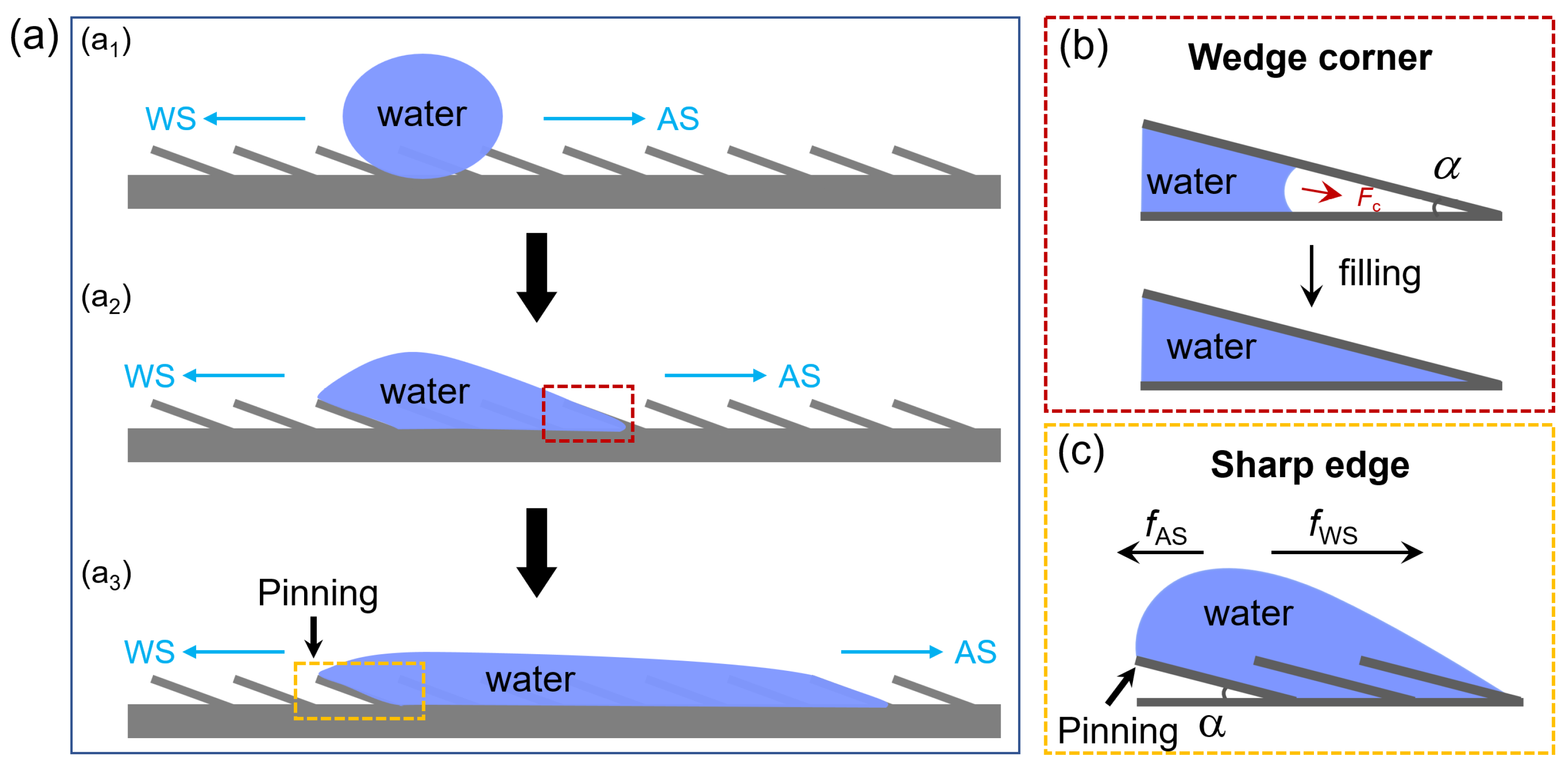 Coatings 14 01308 g005
