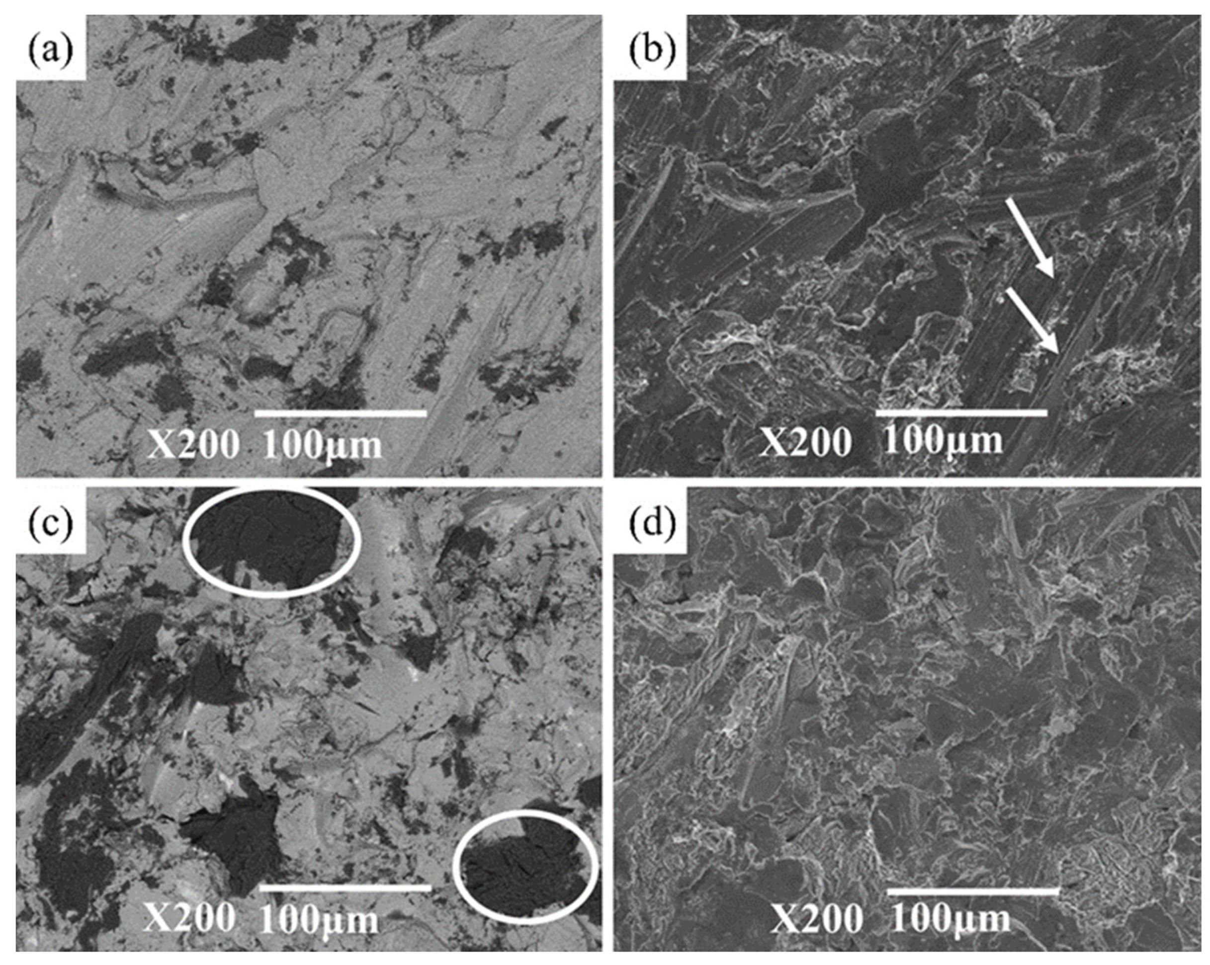 Coatings 14 01312 g002