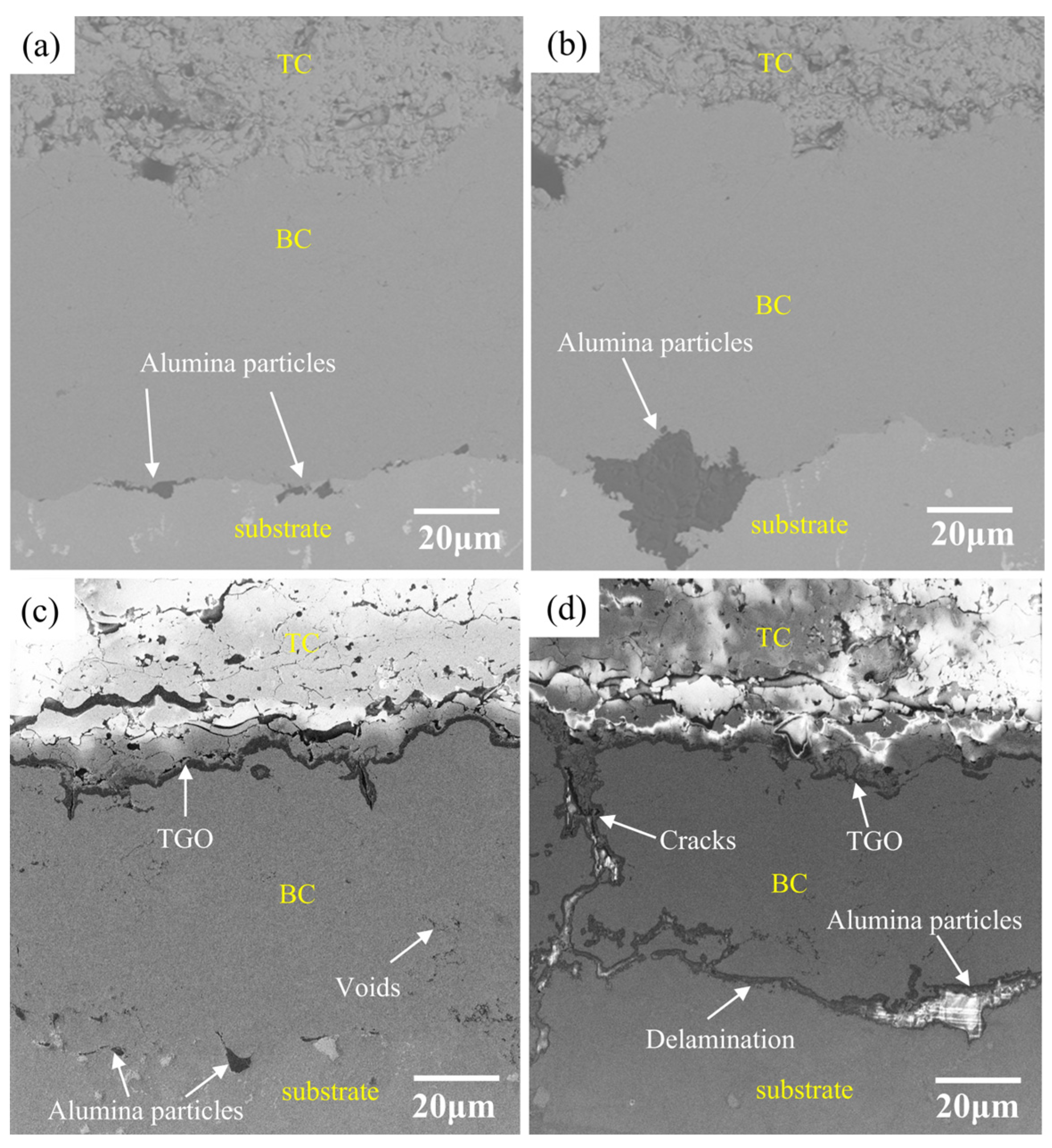Coatings 14 01312 g004