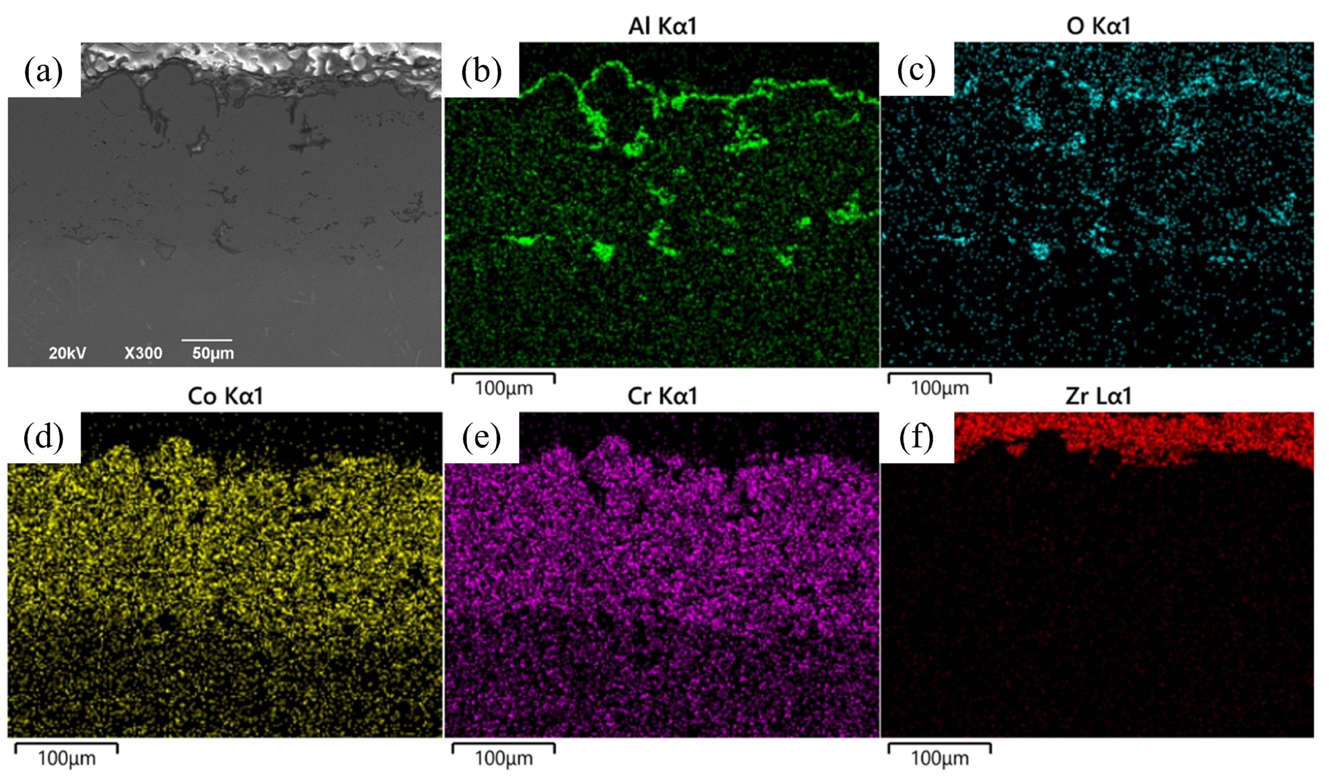 Coatings 14 01312 g005