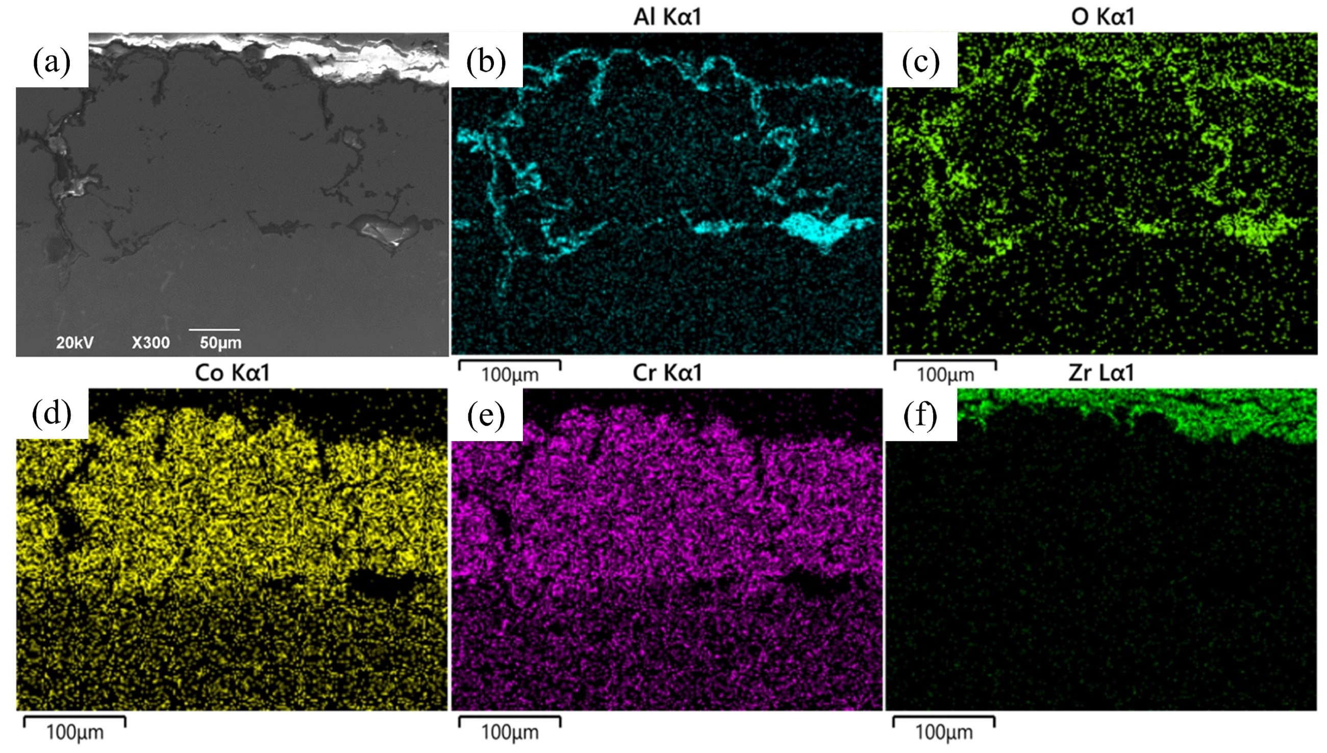 Coatings 14 01312 g006