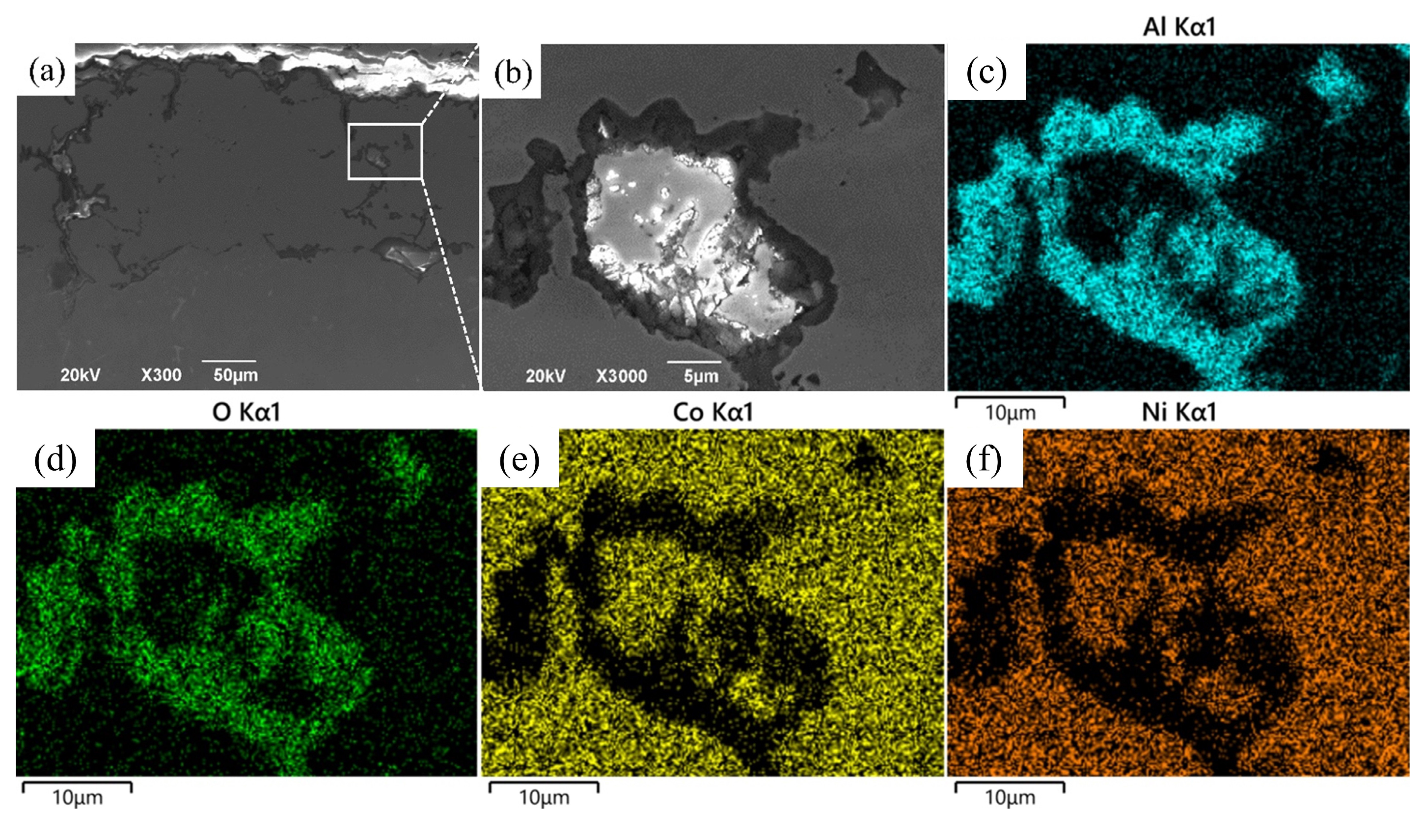Coatings 14 01312 g007