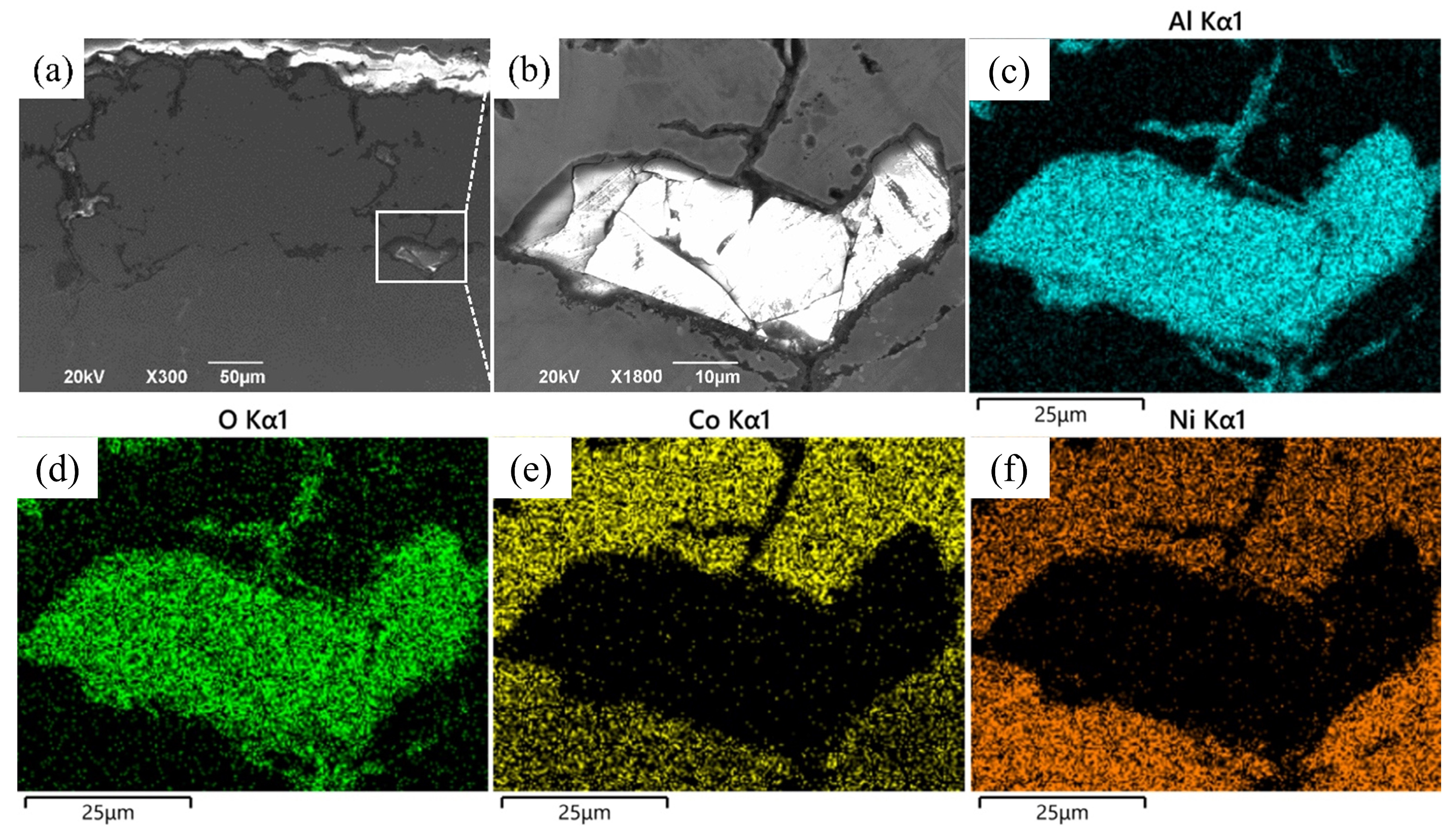 Coatings 14 01312 g008
