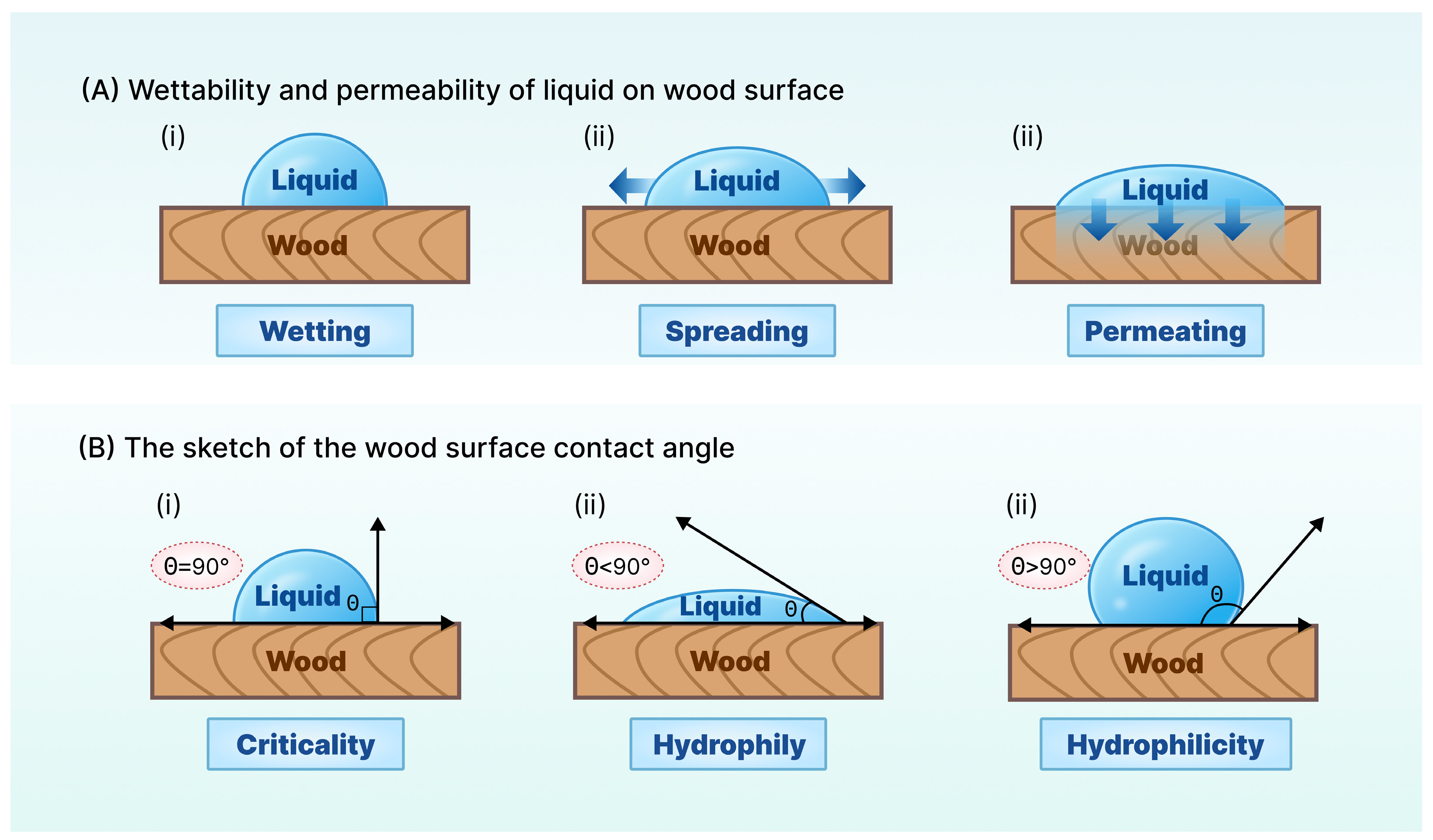 Coatings 14 01313 g001