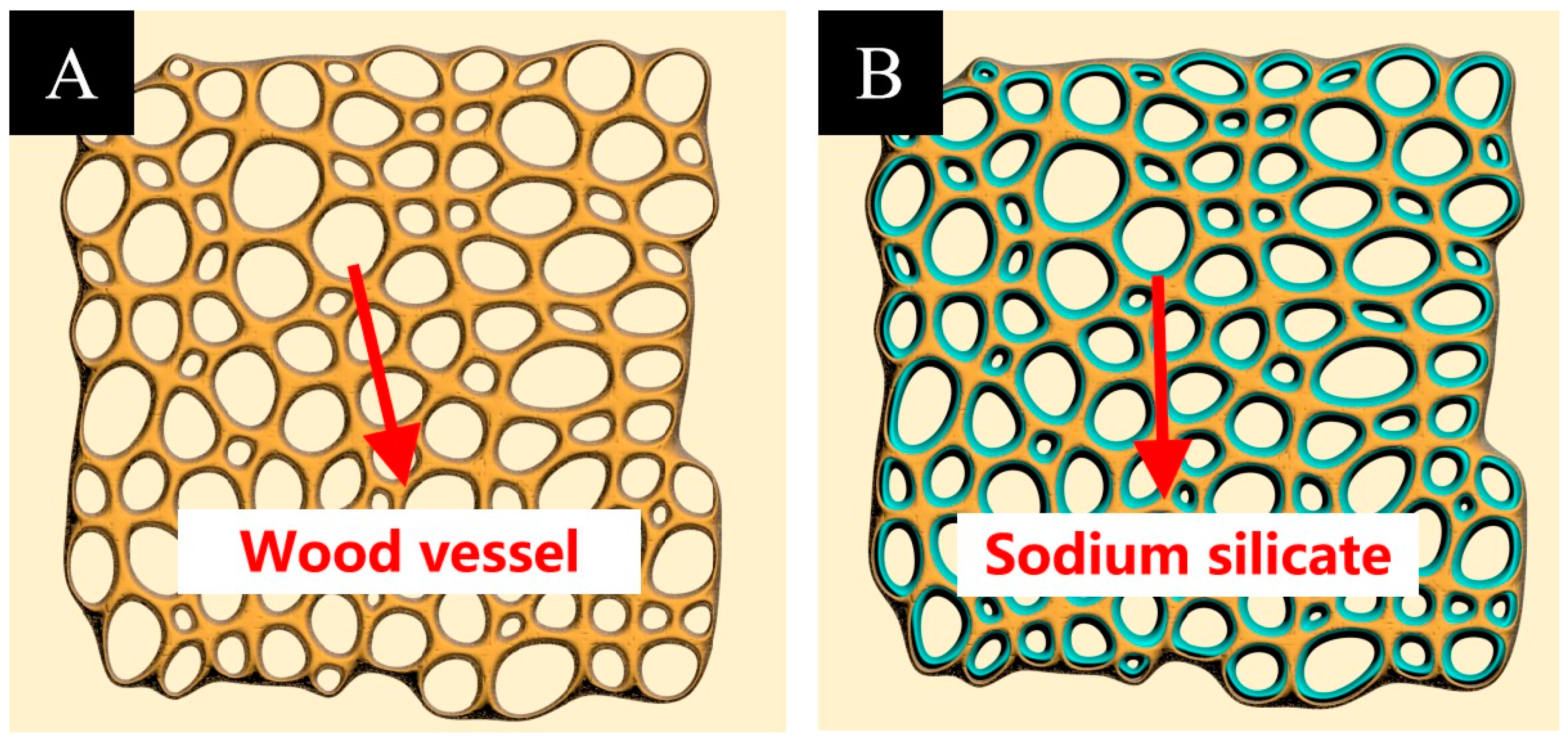 Coatings 14 01313 g003