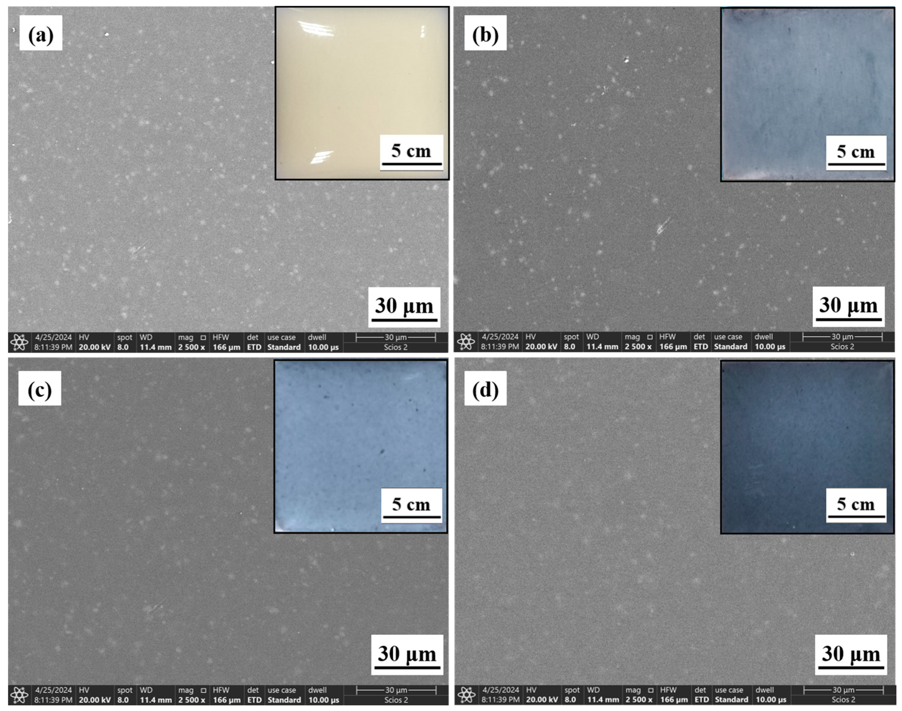 Coatings 14 01315 g002