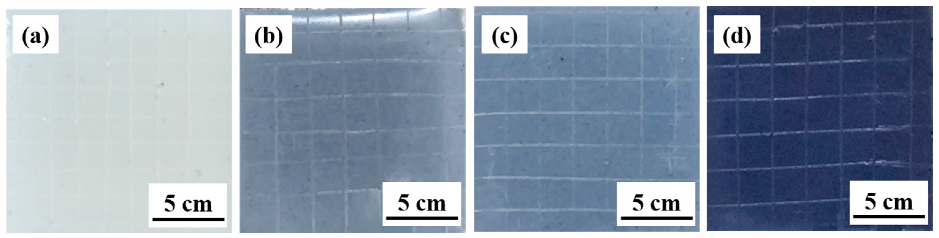 Coatings 14 01315 g004