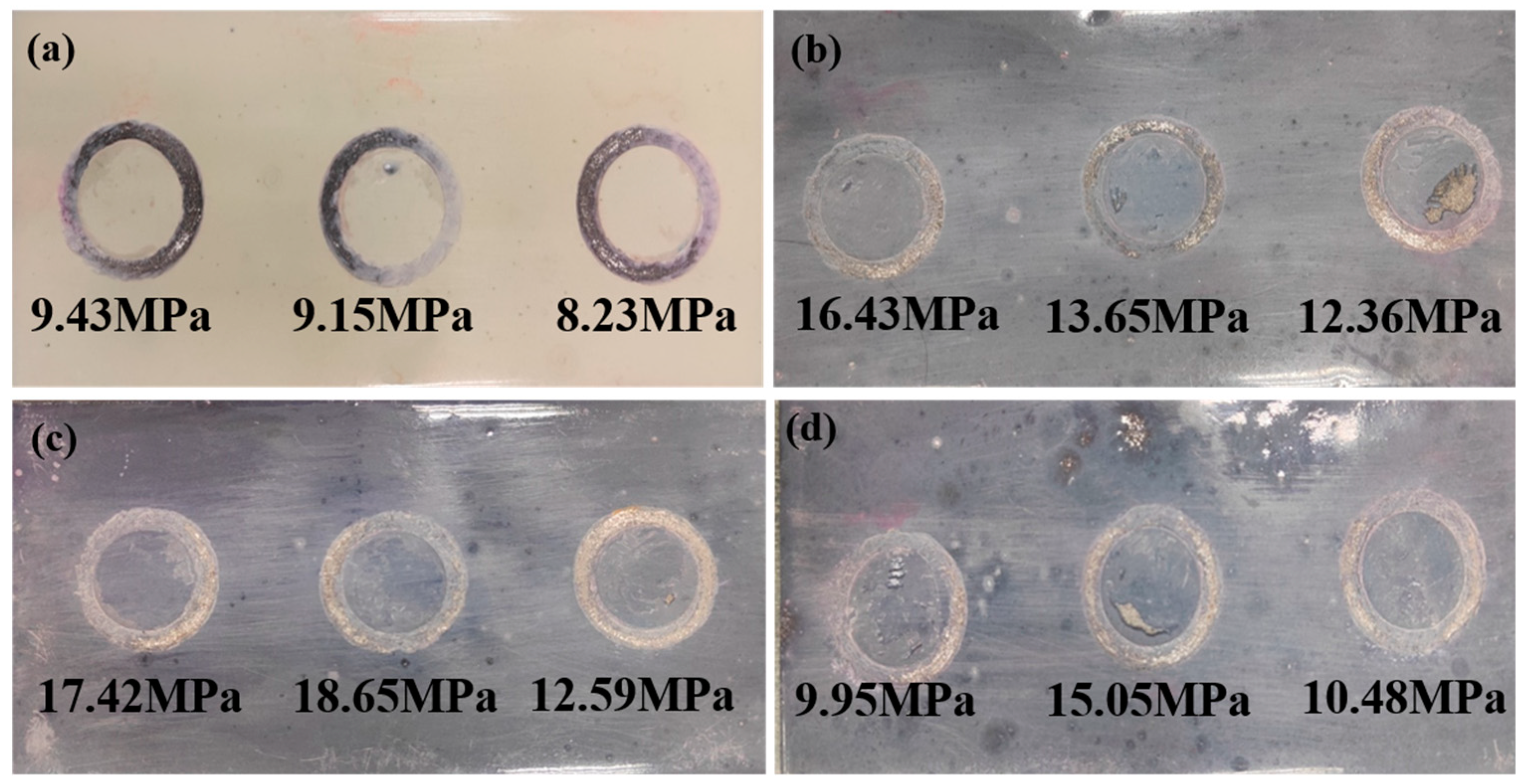 Coatings 14 01315 g007