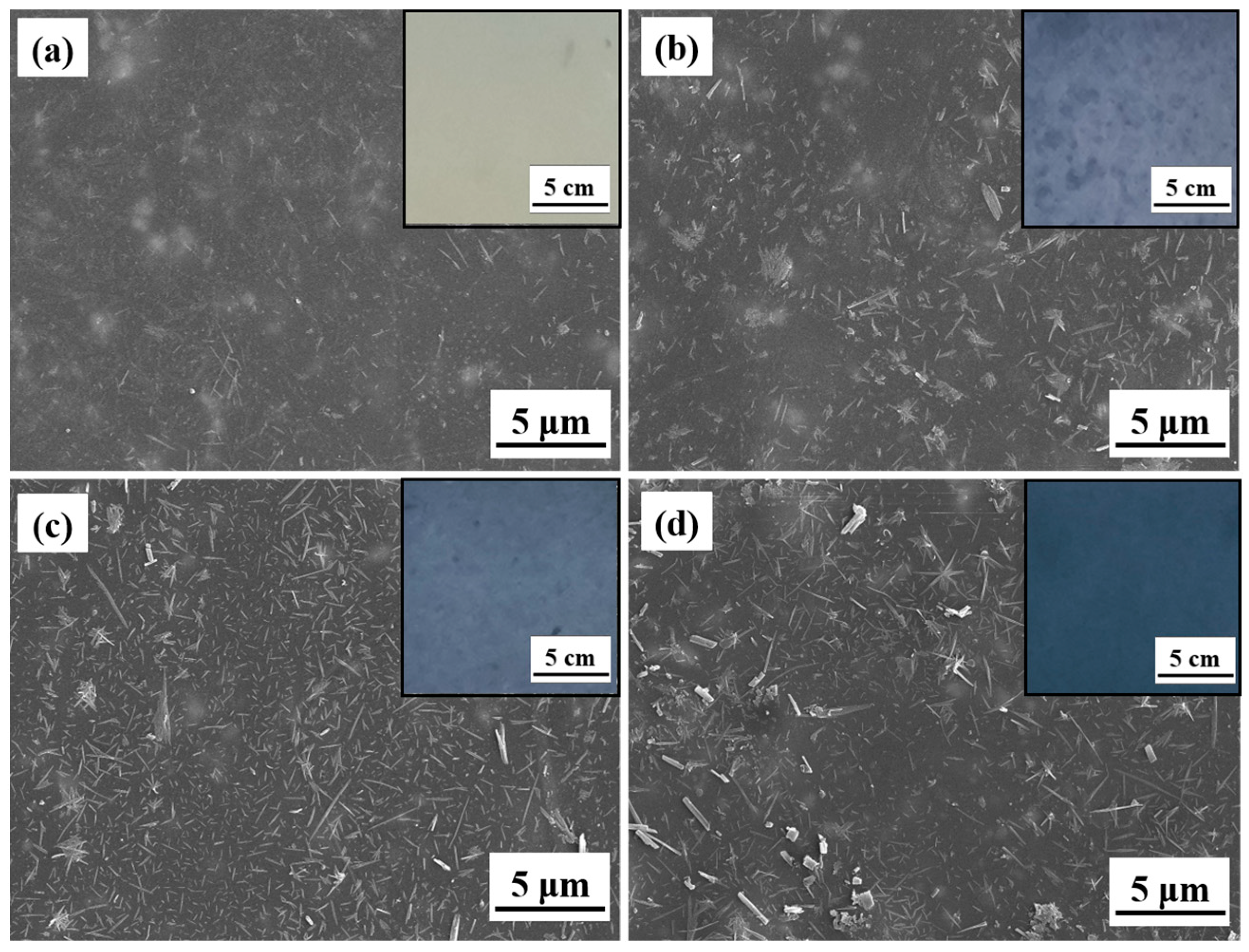 Coatings 14 01315 g009