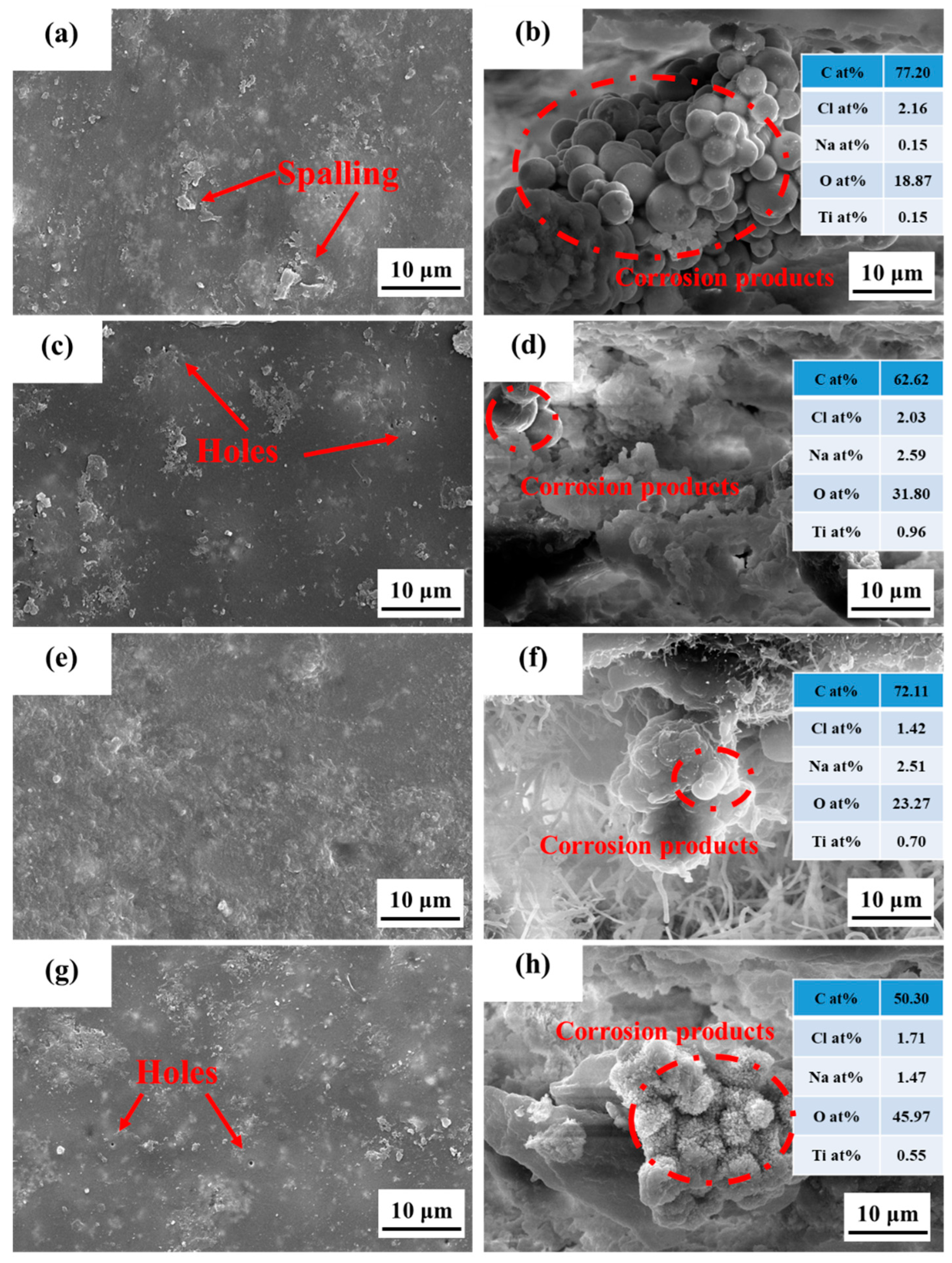 Coatings 14 01315 g014
