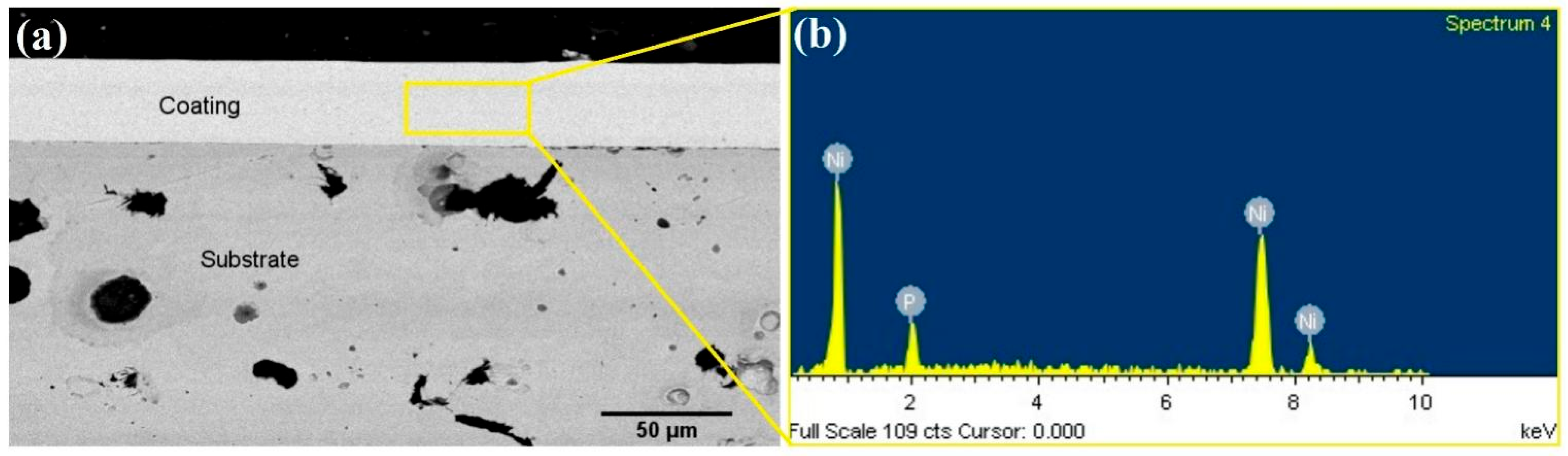Coatings 14 01317 g002 Coatings 14 01317 g002