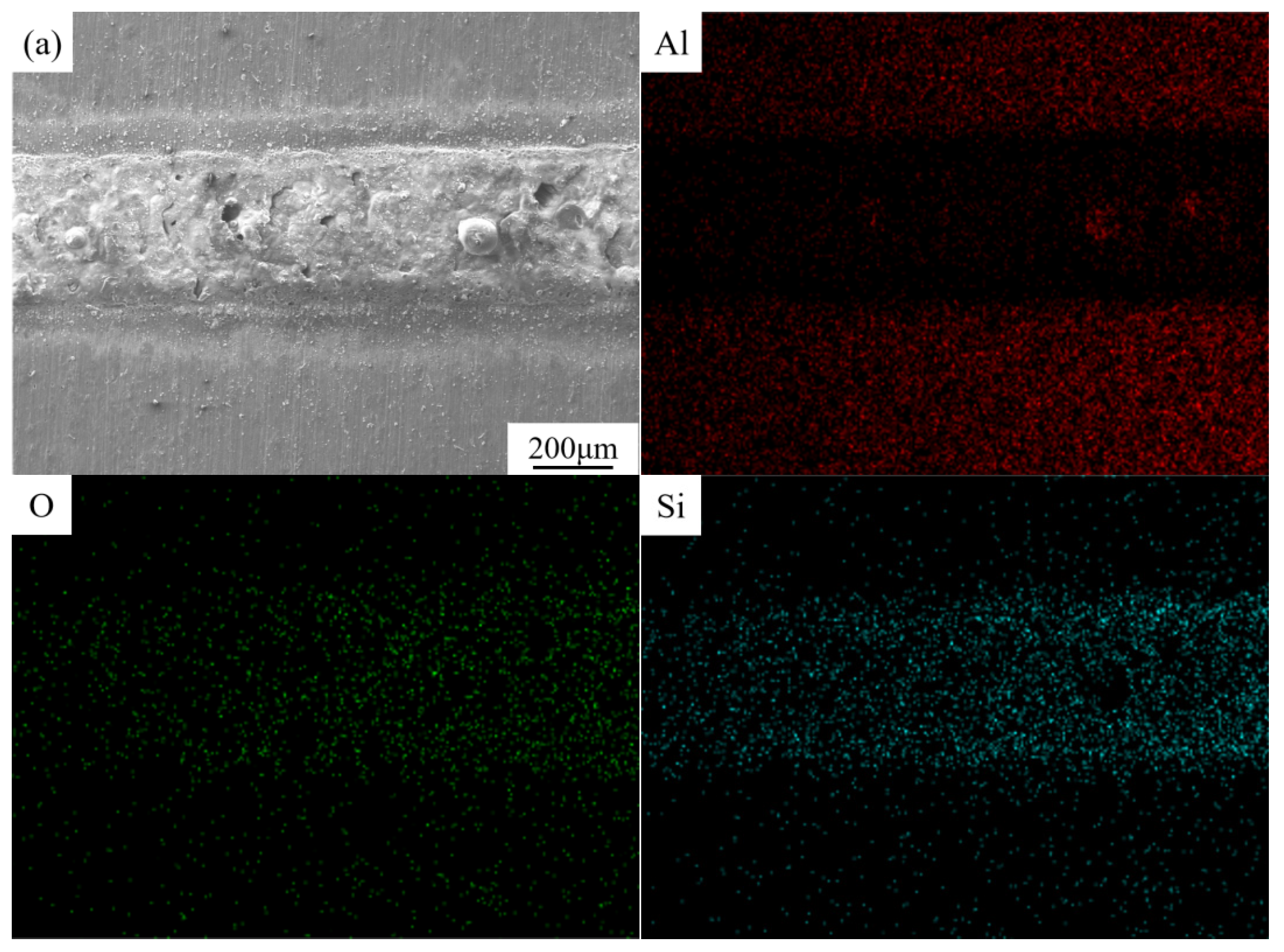 Coatings 14 01318 g005a