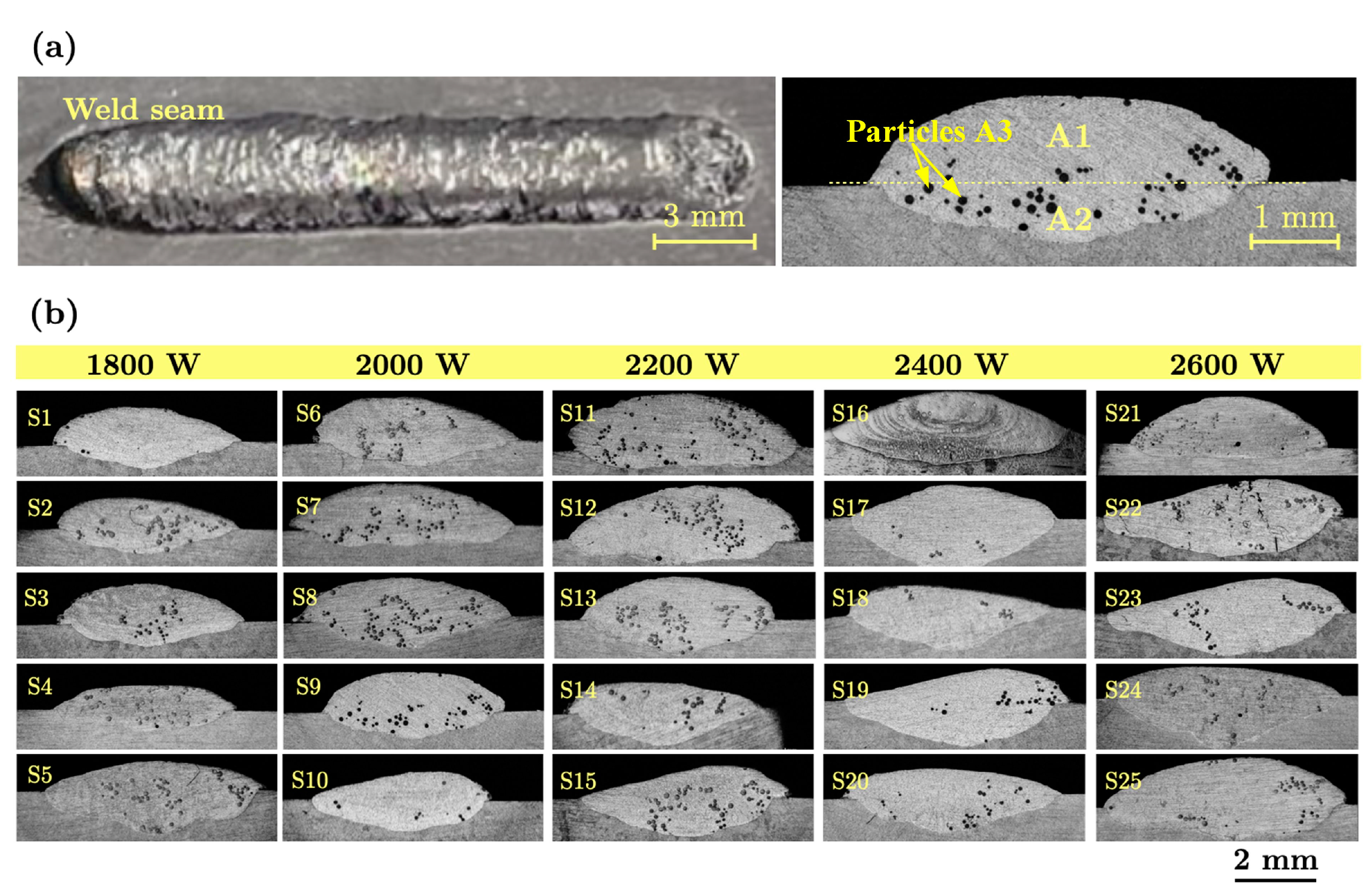 Coatings 14 01319 g002