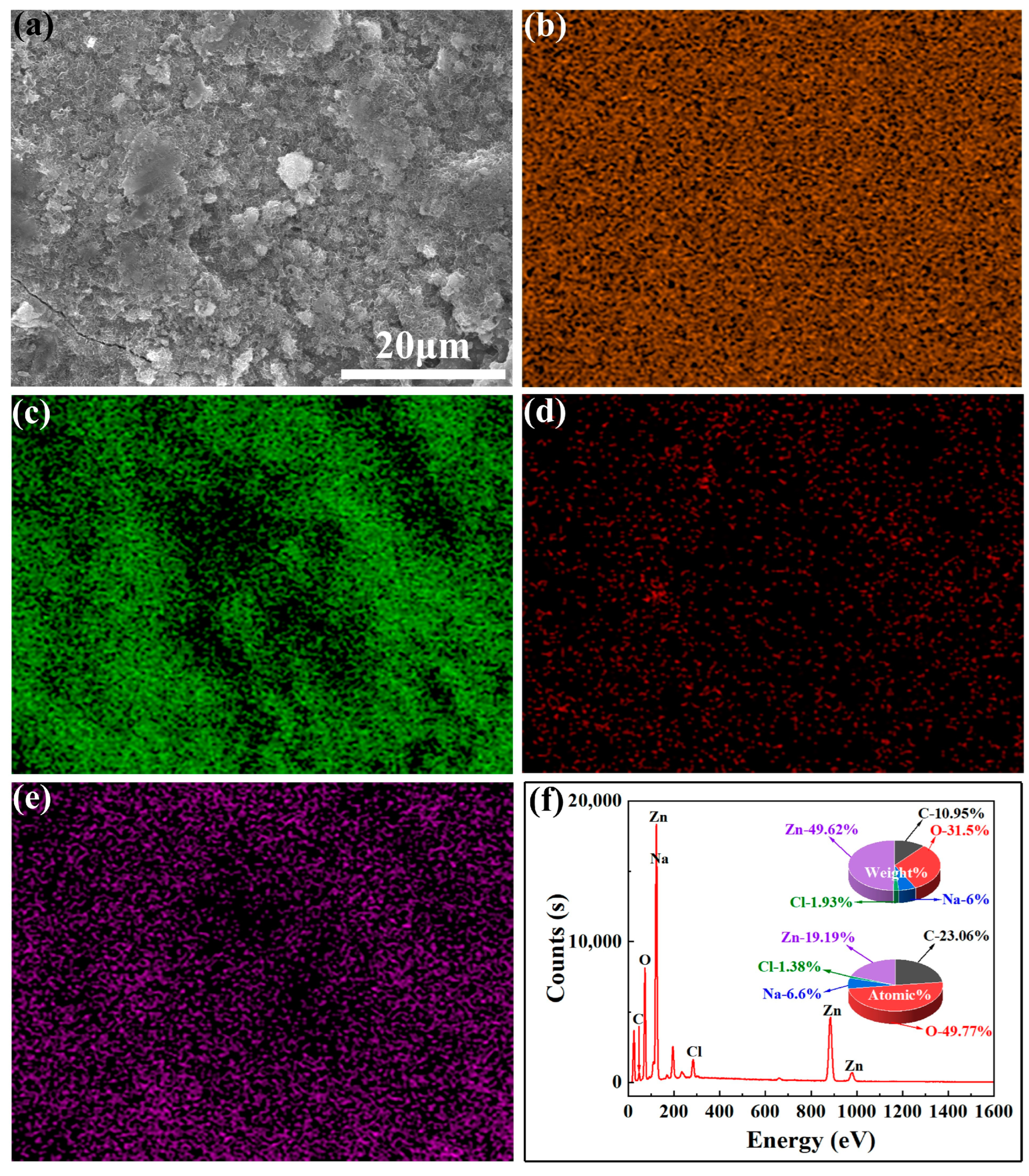 Coatings 14 01321 g009