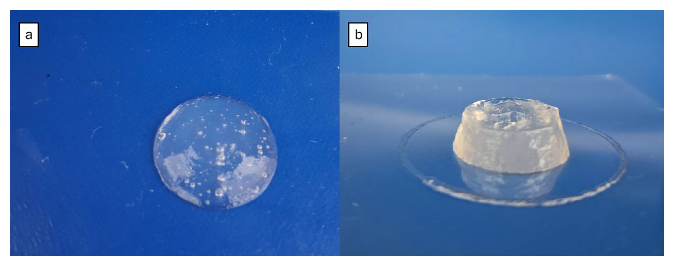 Coatings 14 01324 g008