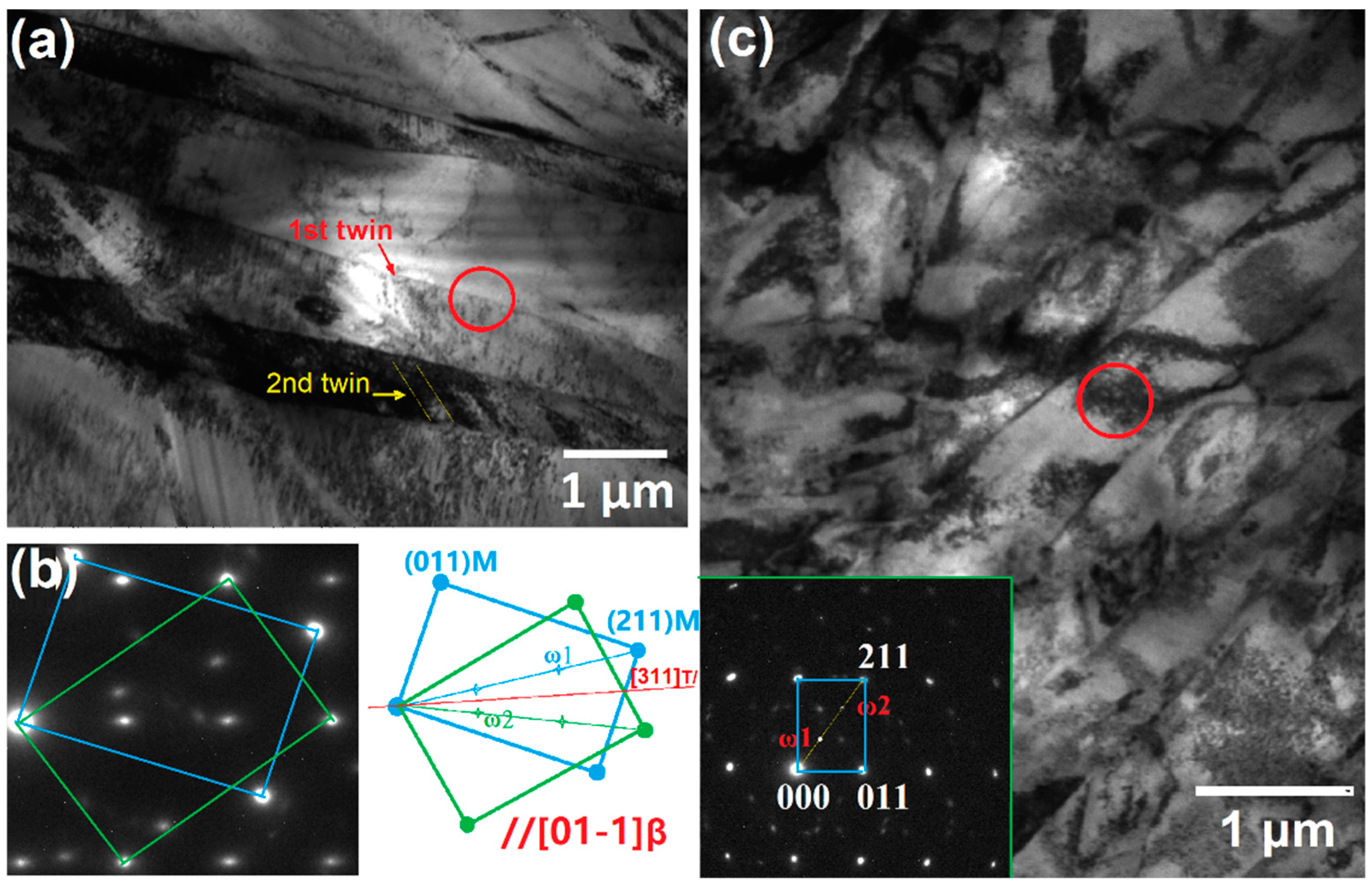 Coatings 14 01332 g005