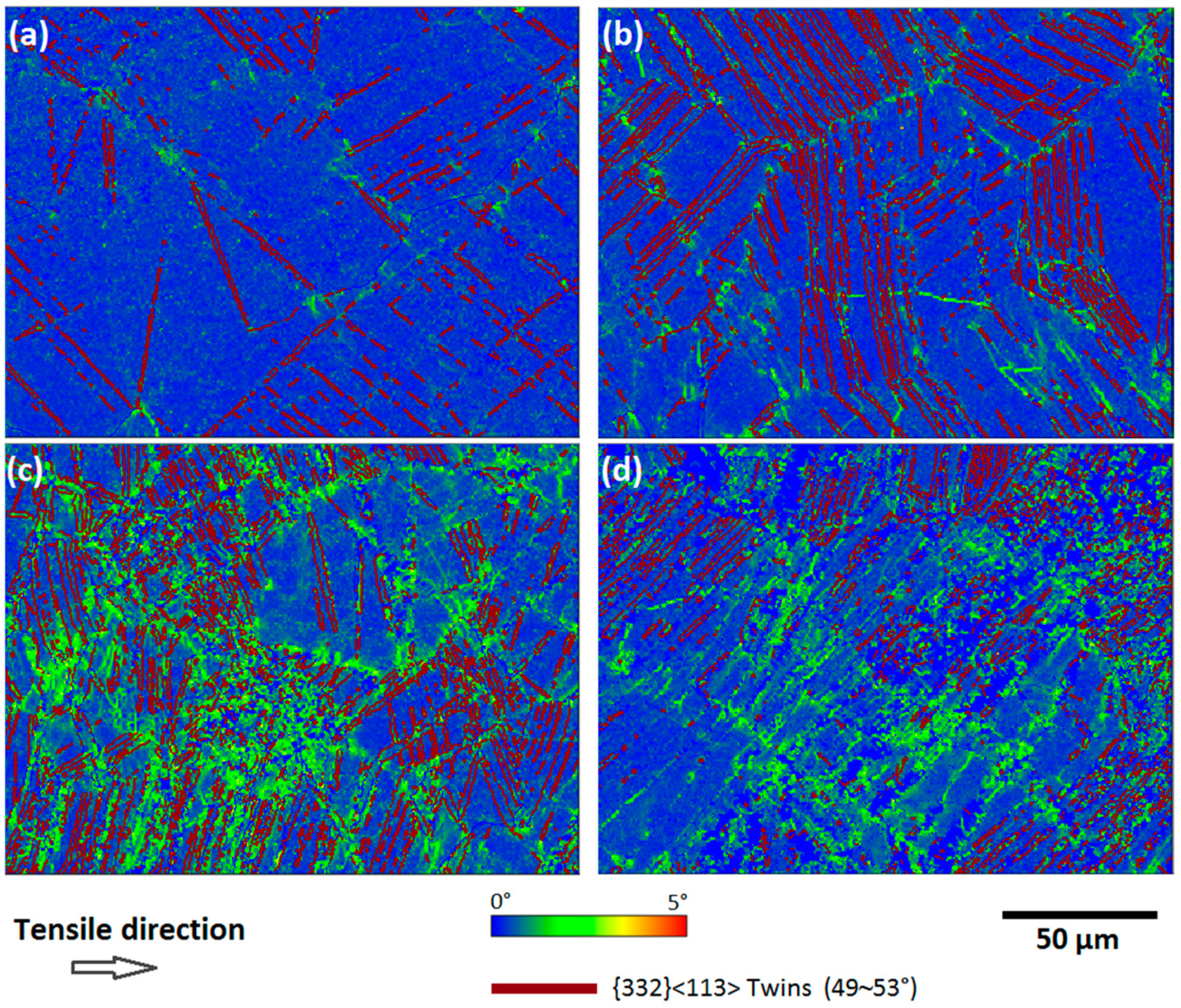 Coatings 14 01332 g006