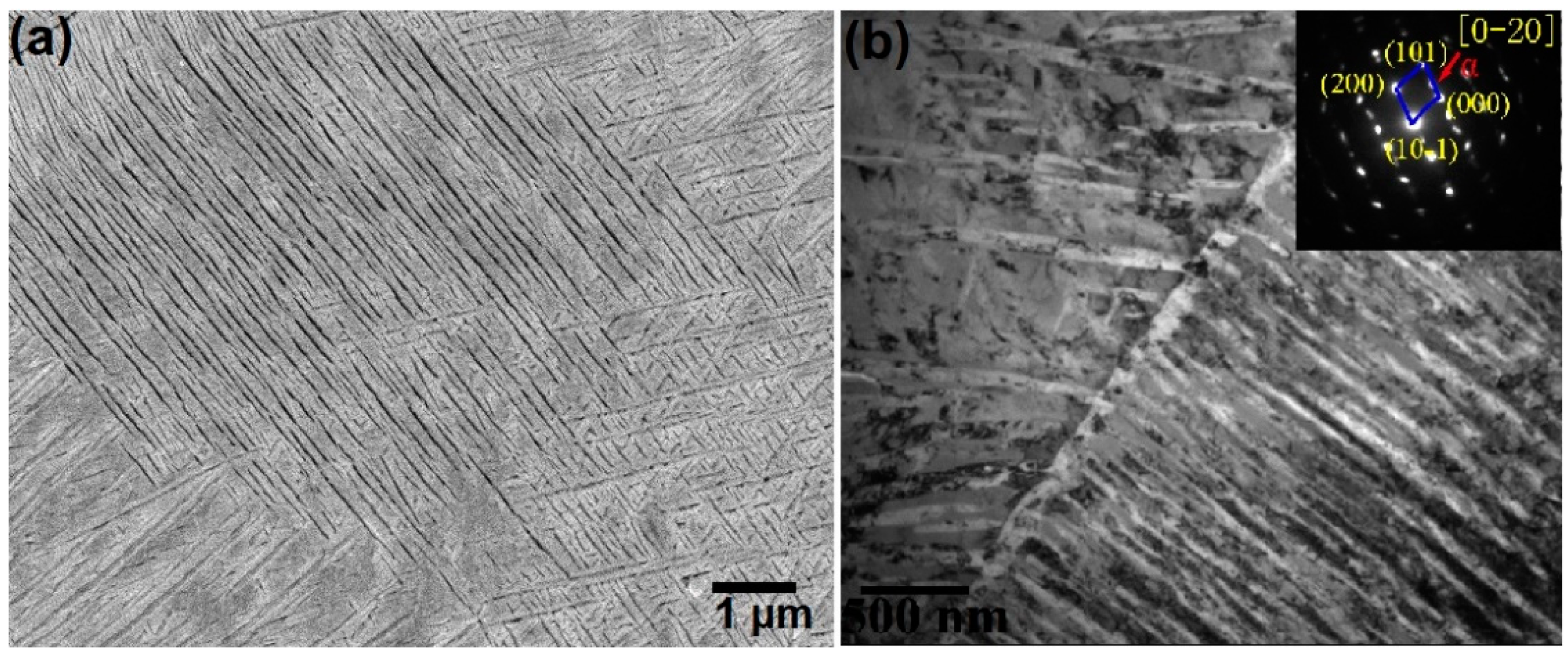 Coatings 14 01332 g007