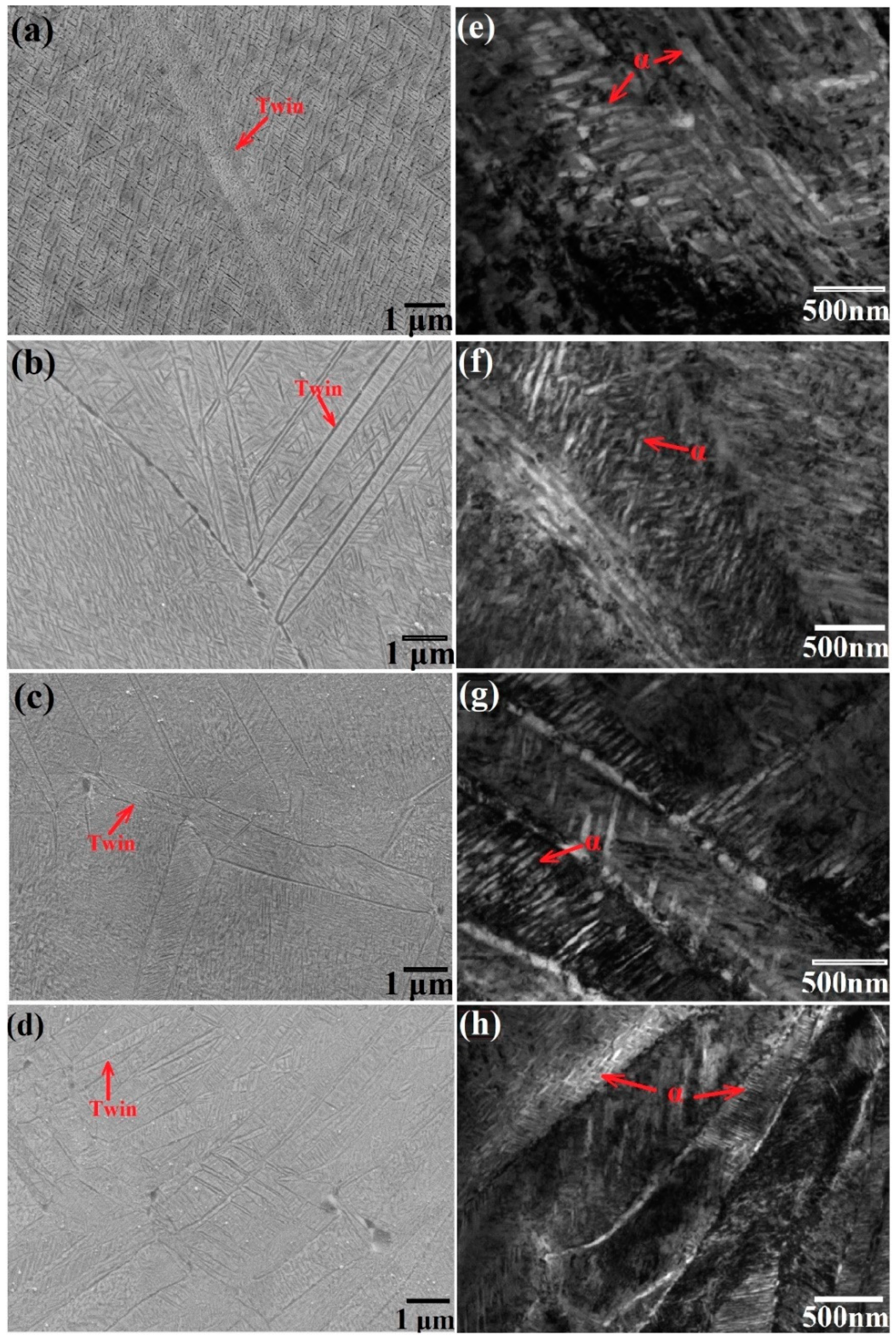 Coatings 14 01332 g008