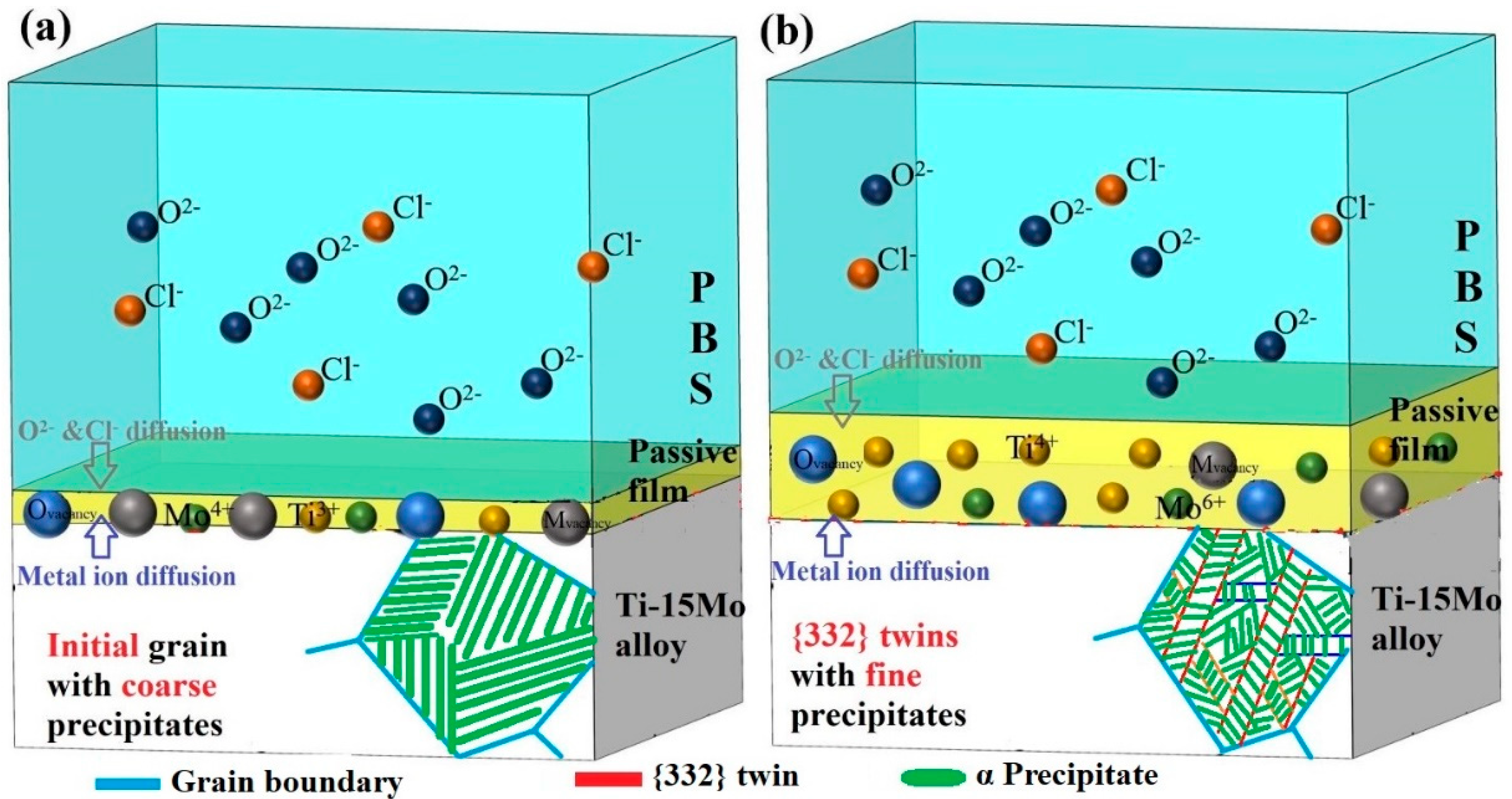 Coatings 14 01332 g014
