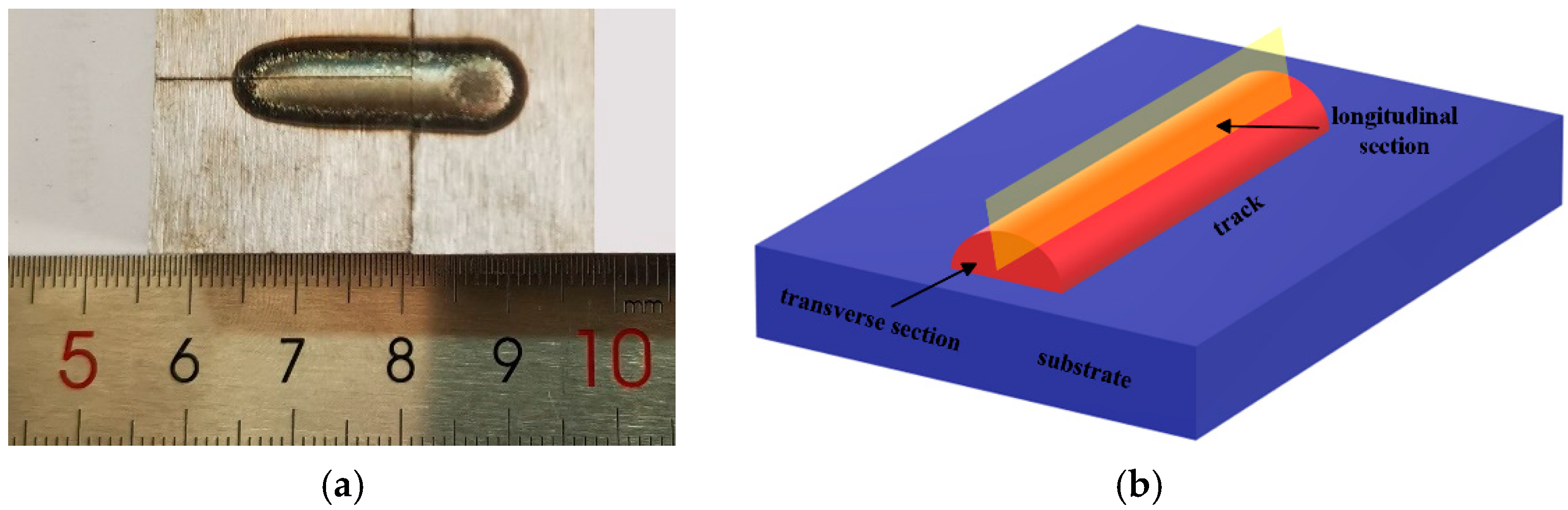 Coatings 14 01337 g002