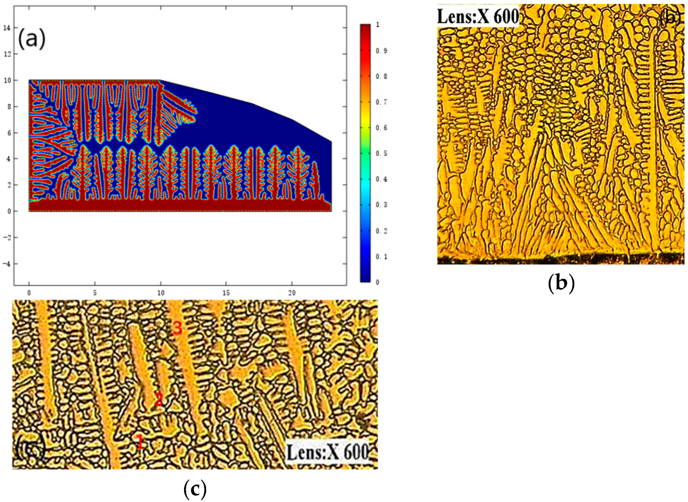 Coatings 14 01337 g012