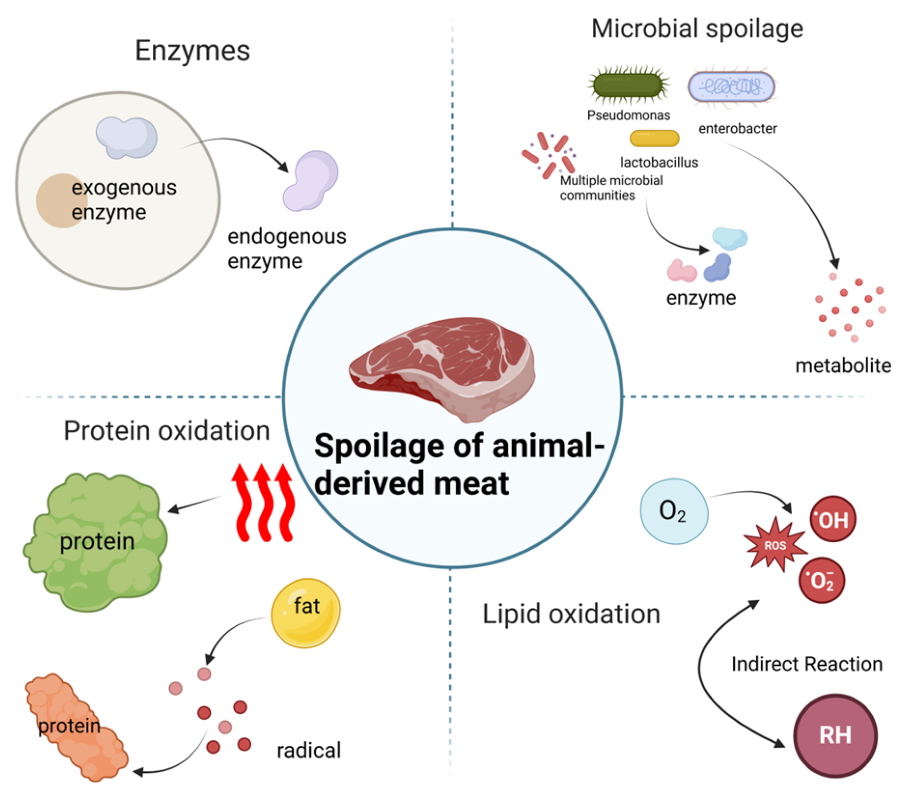 Coatings 14 01338 g001