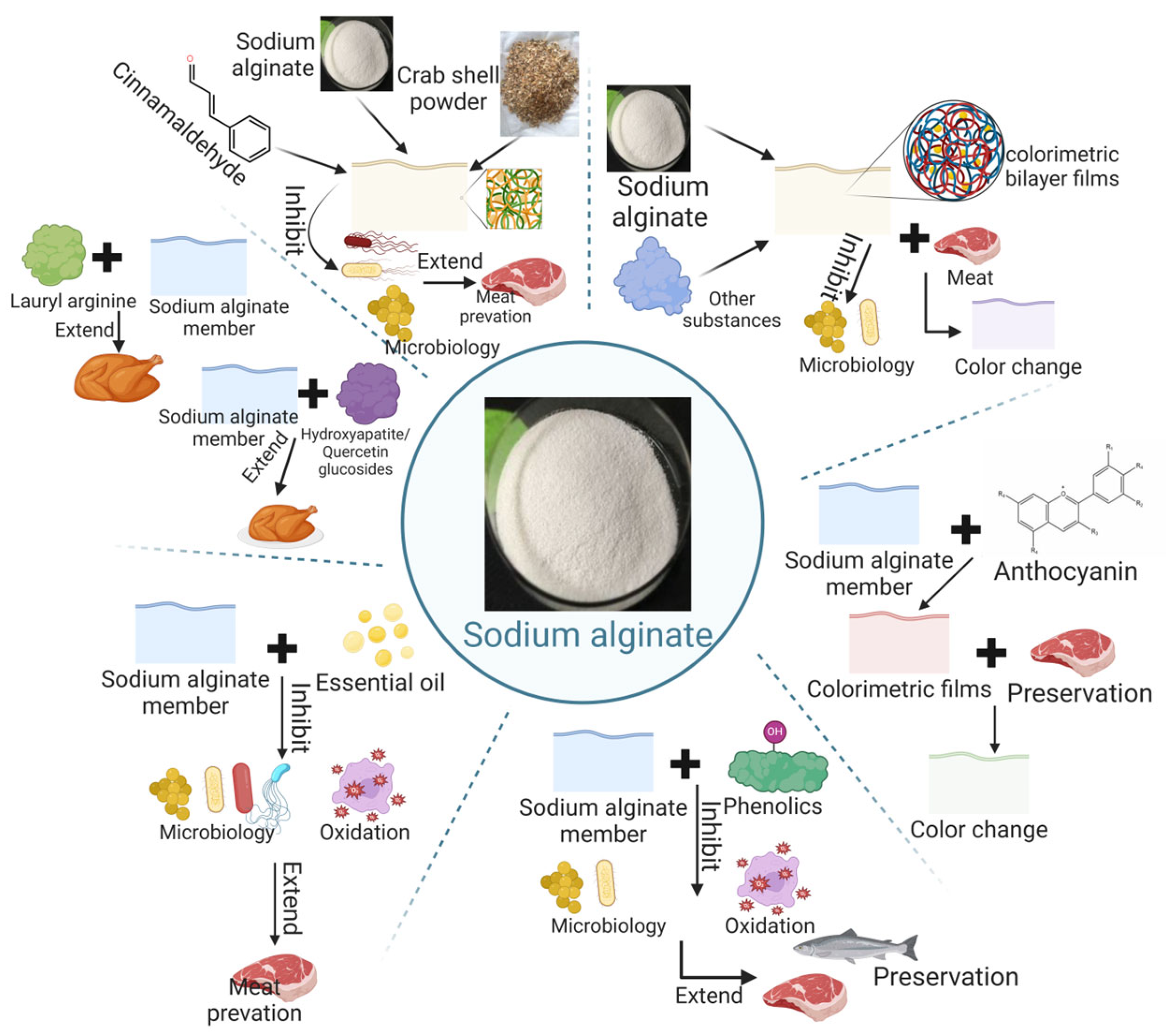 Coatings 14 01338 g004