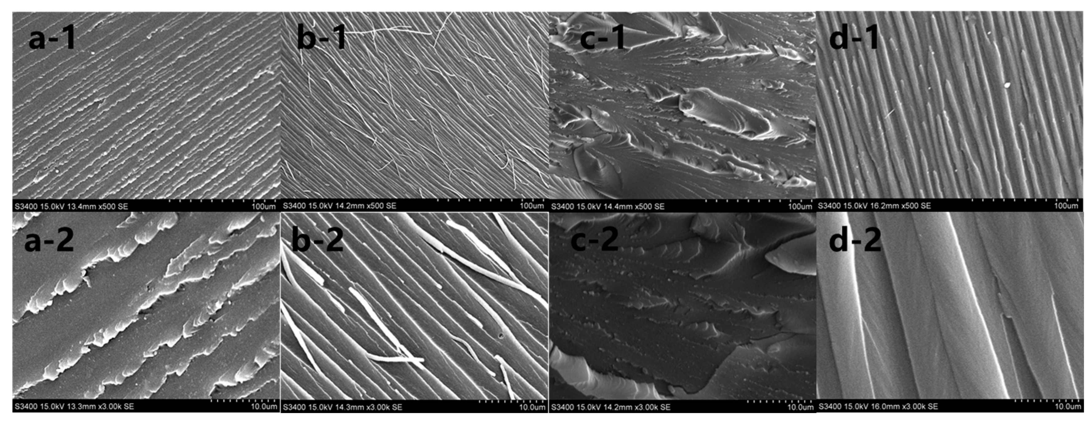 Coatings 14 01347 g006